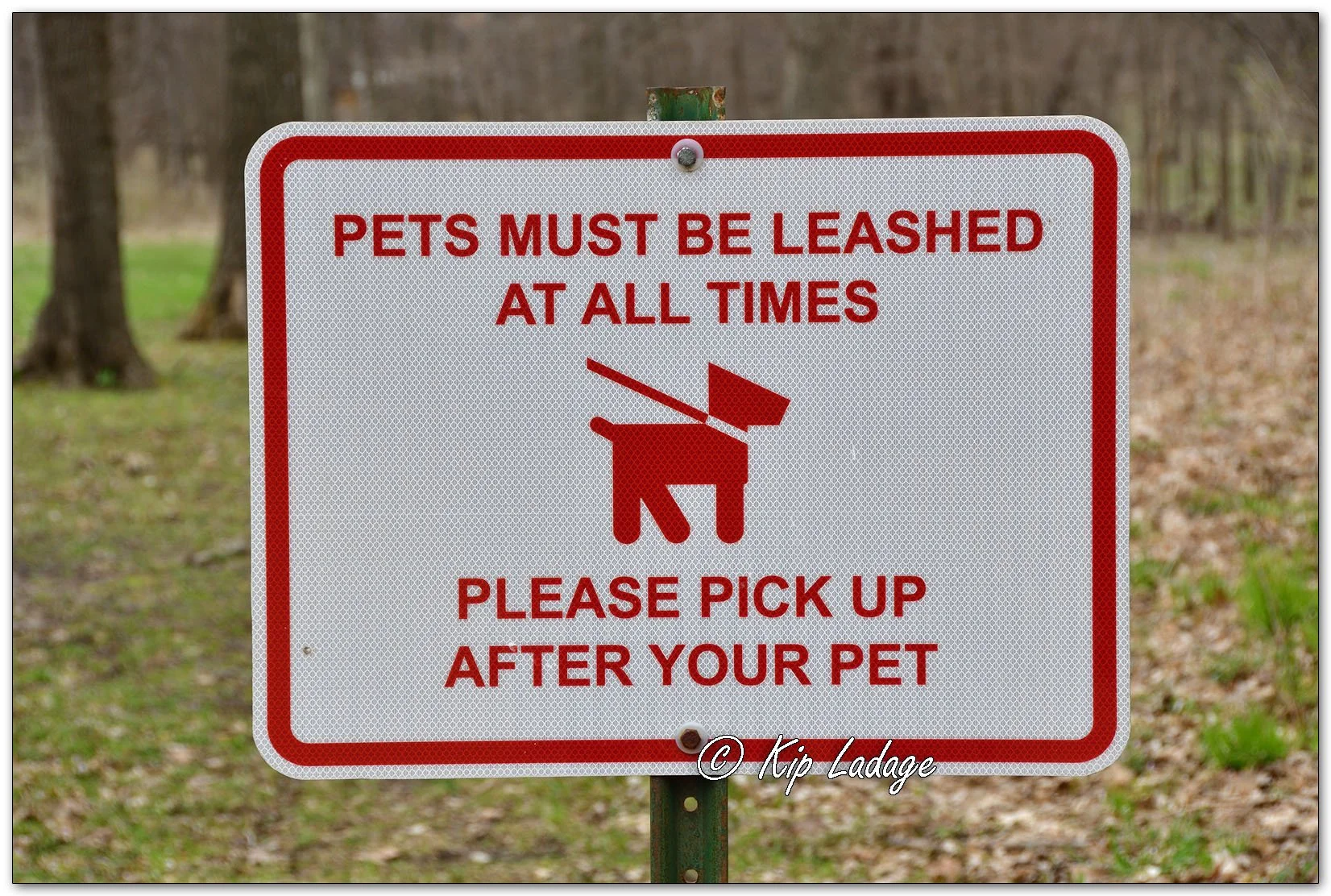 Kip’s Comments - April 11, 2026