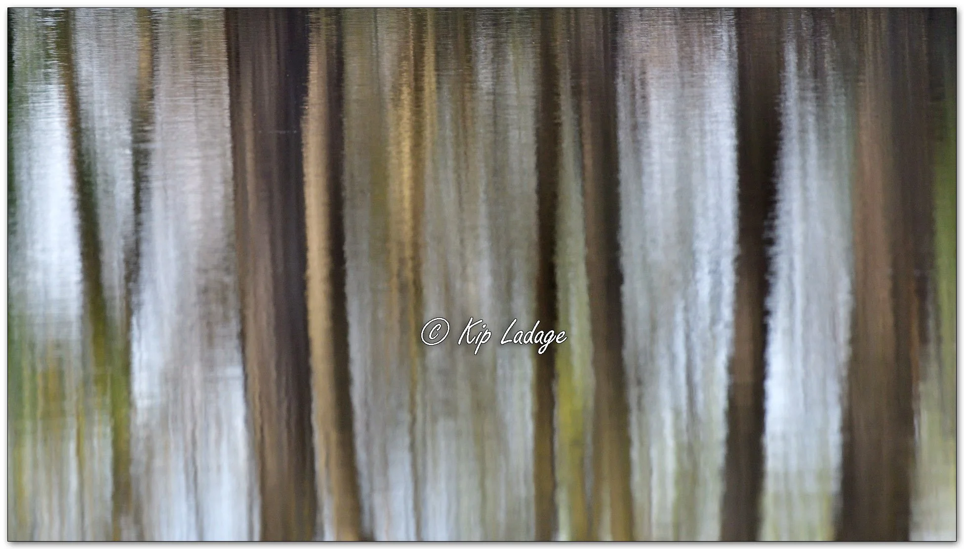 Reflections on Water - Image 1091875