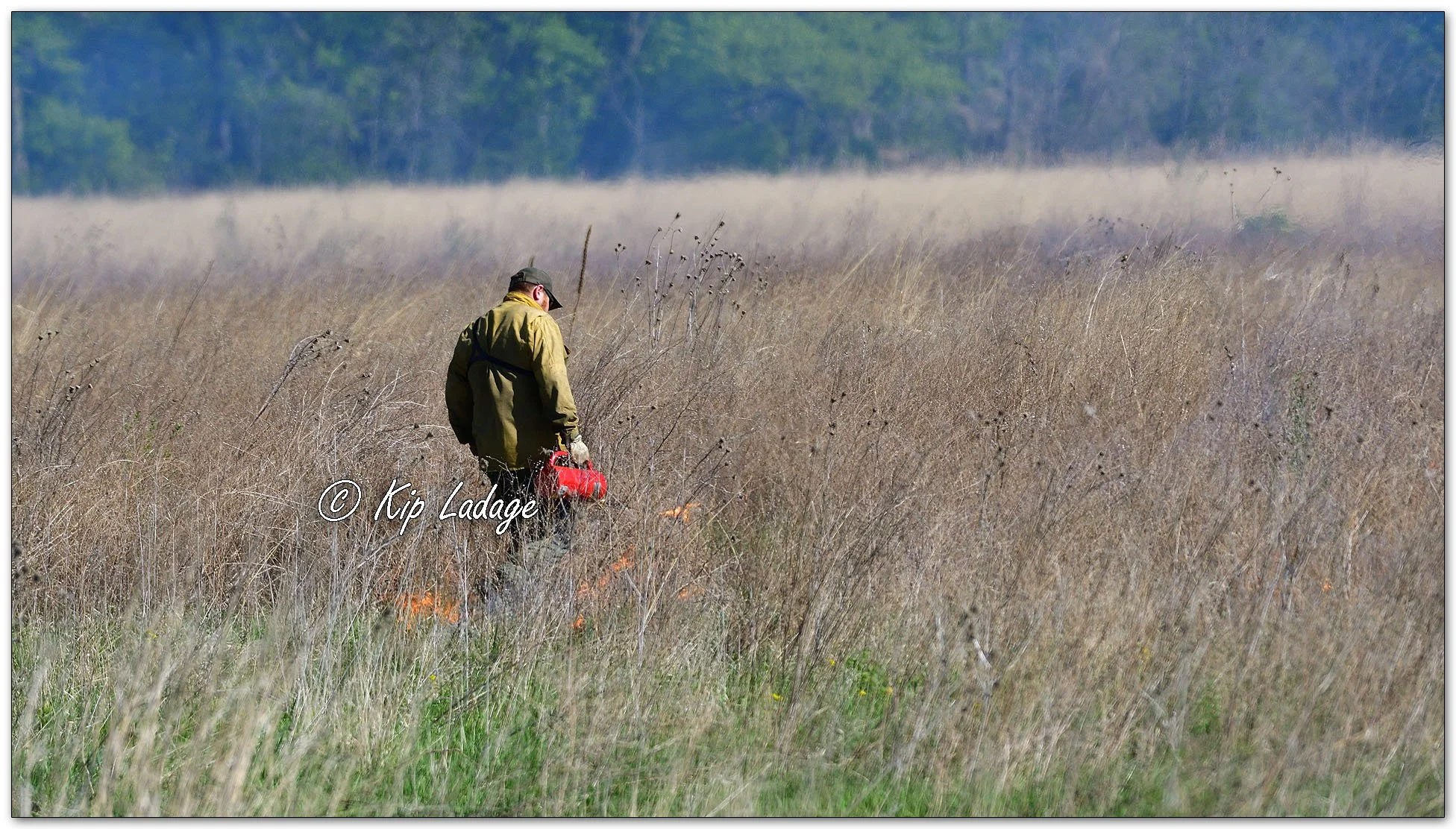 Controlled Grassland Burn - Image 1095199