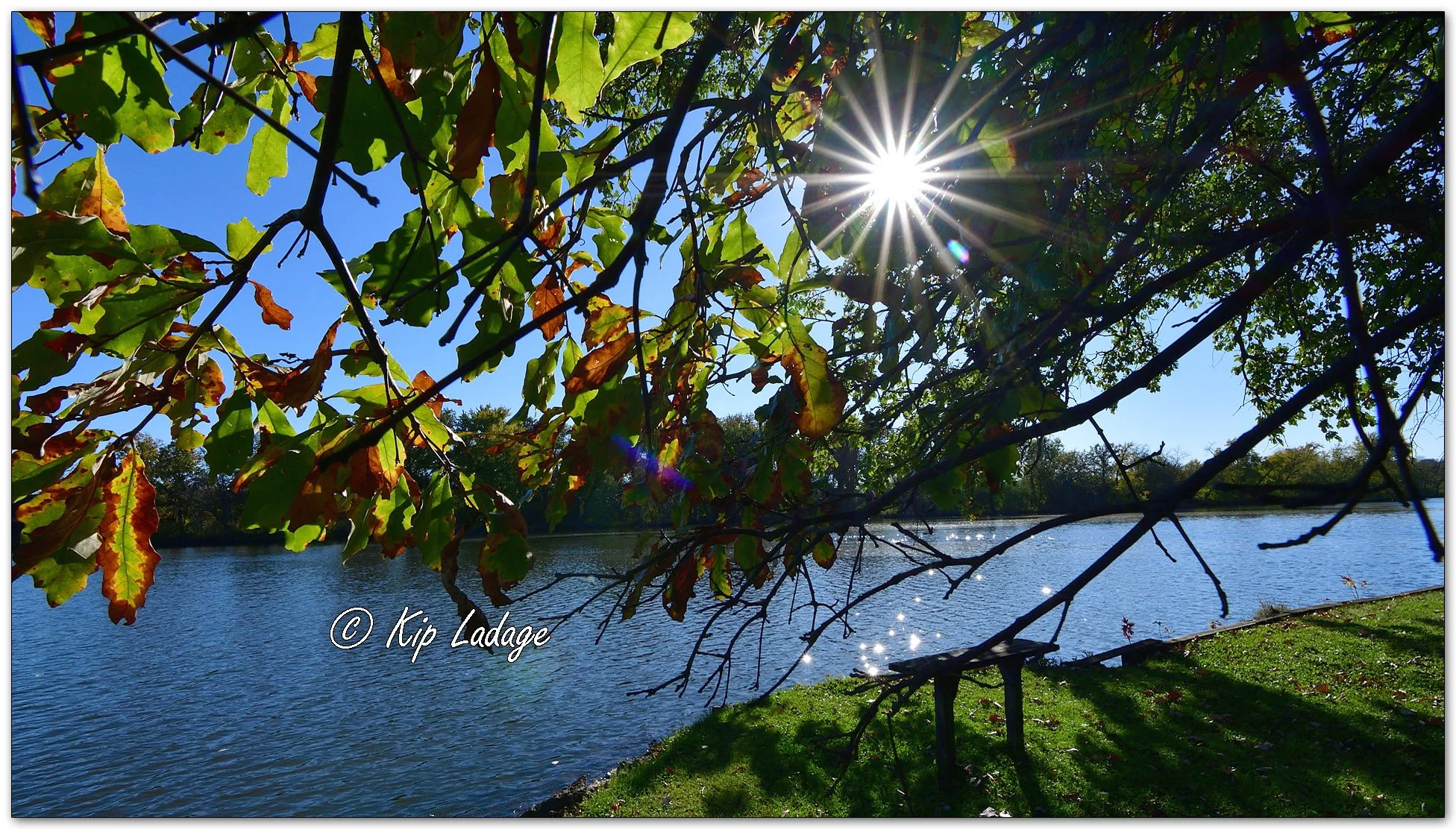 Autumn on Indian Pond - Image 1164528
