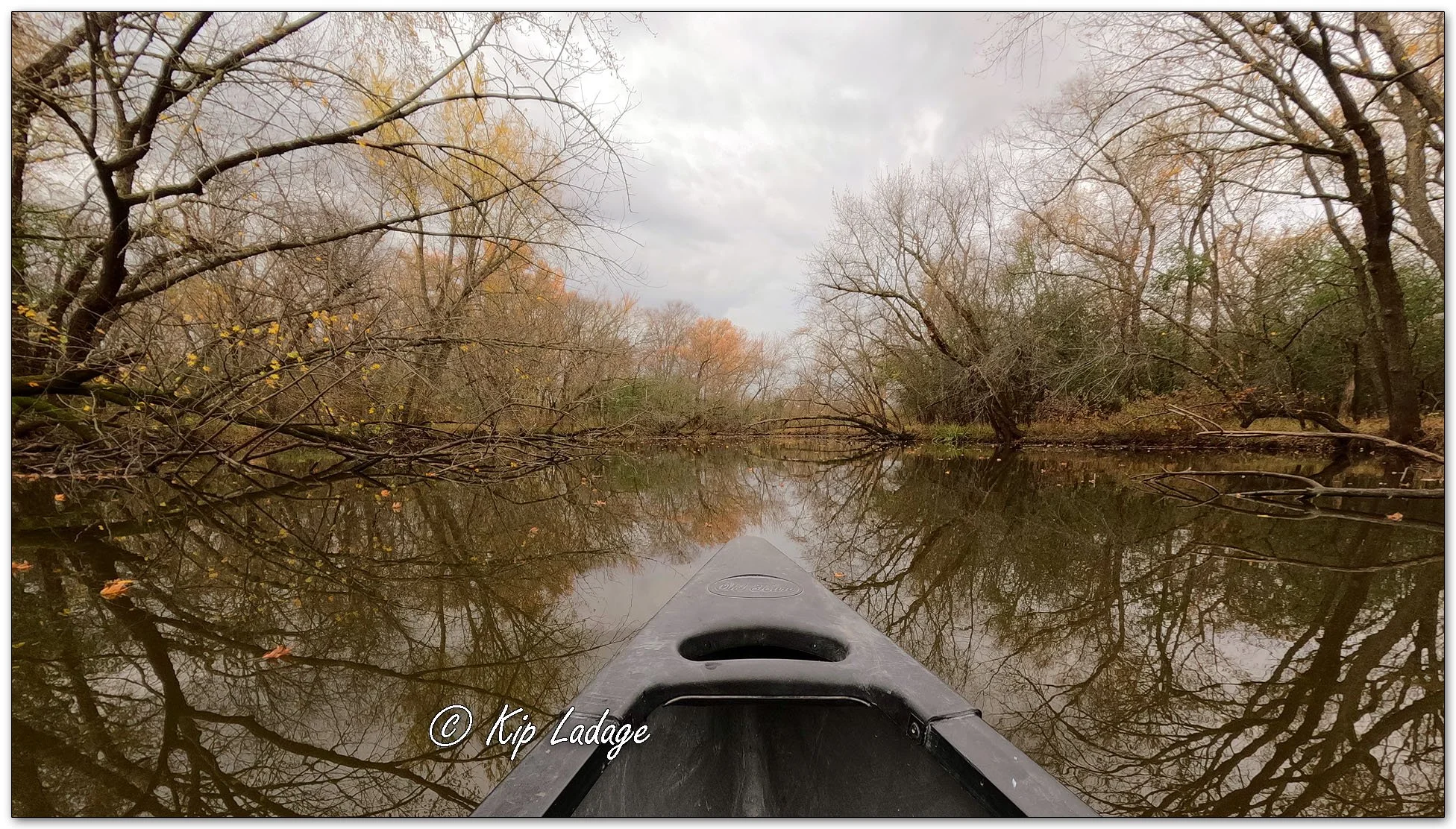 Canoeing the Wapsipinicon River - Image 1168427