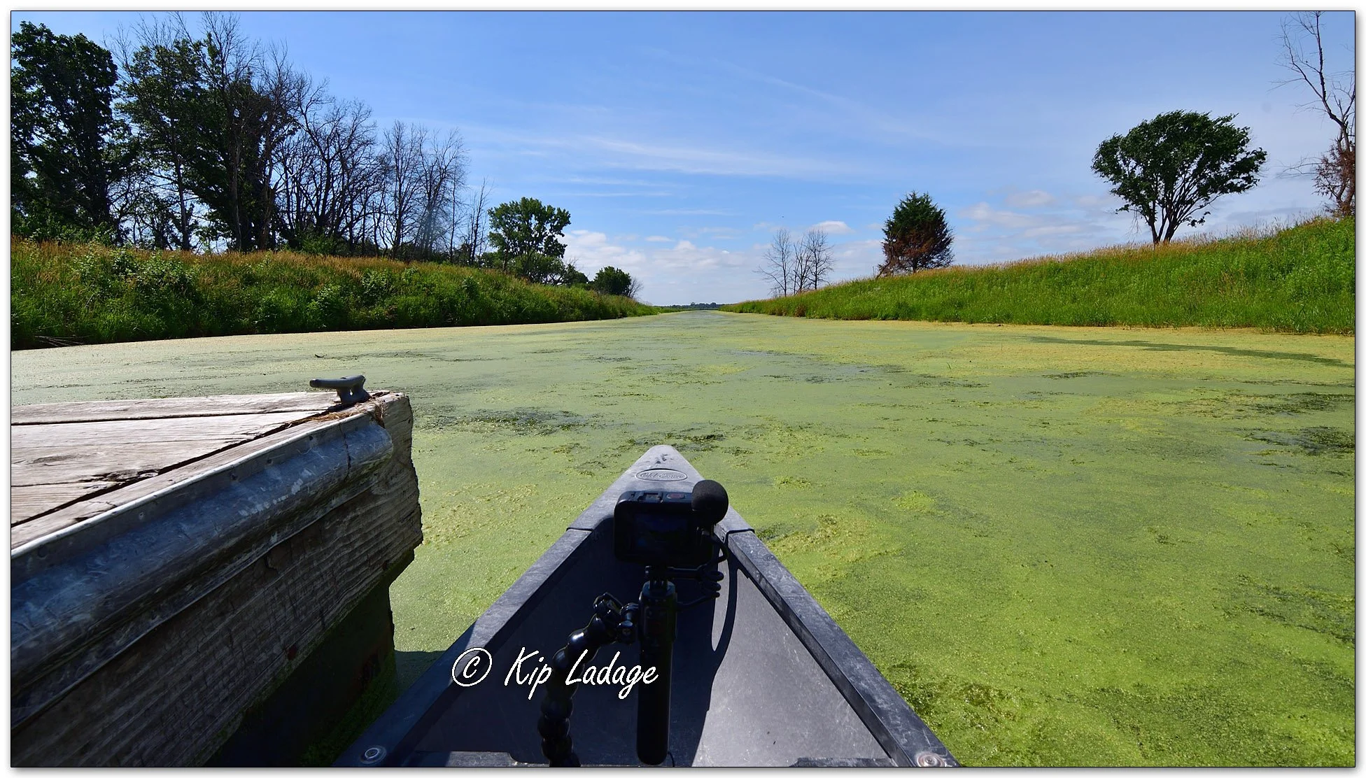Canoeing at Sweet Marsh - Image 1115039