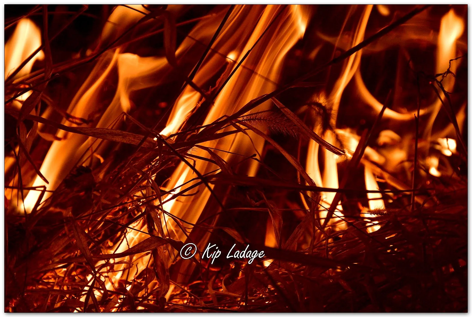 Prairie Burn at Night - Image 1078751