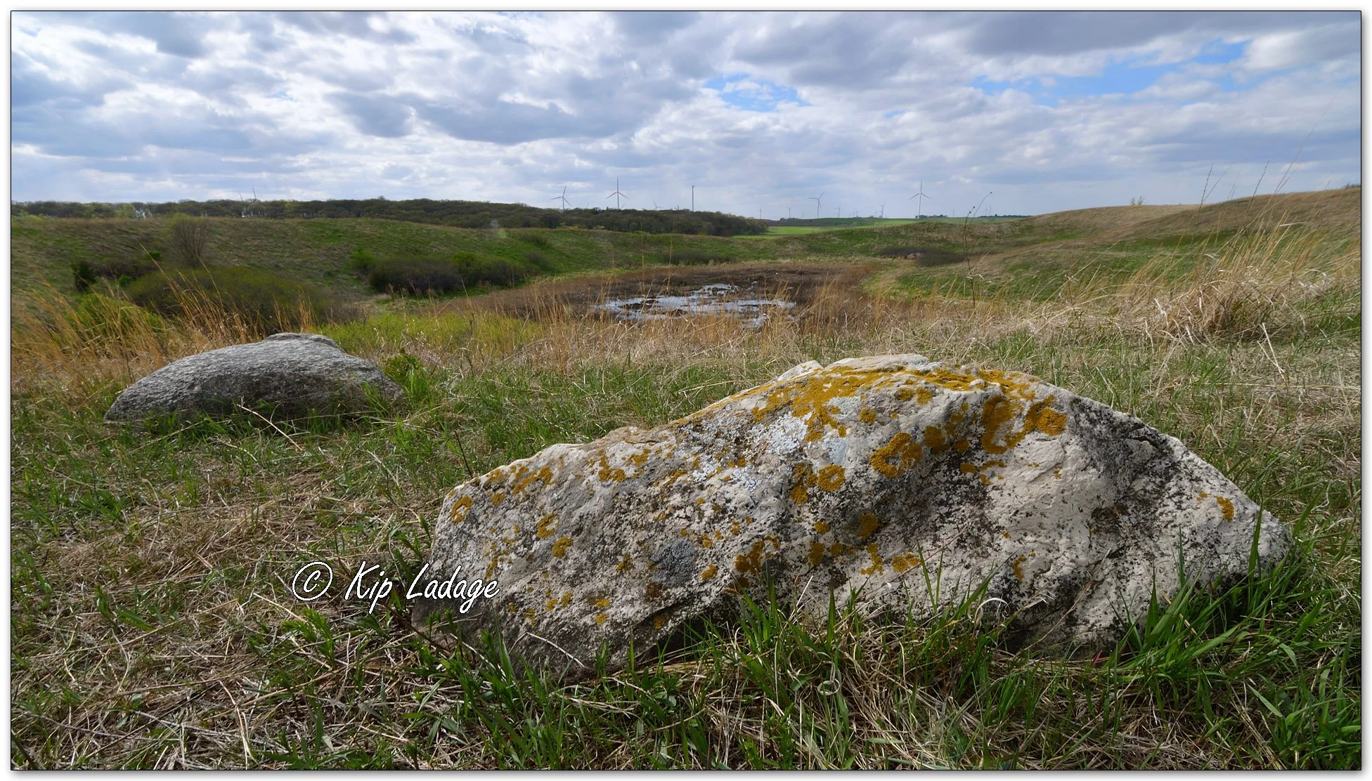 Freda Haffner Kettlehole - Image 1096018