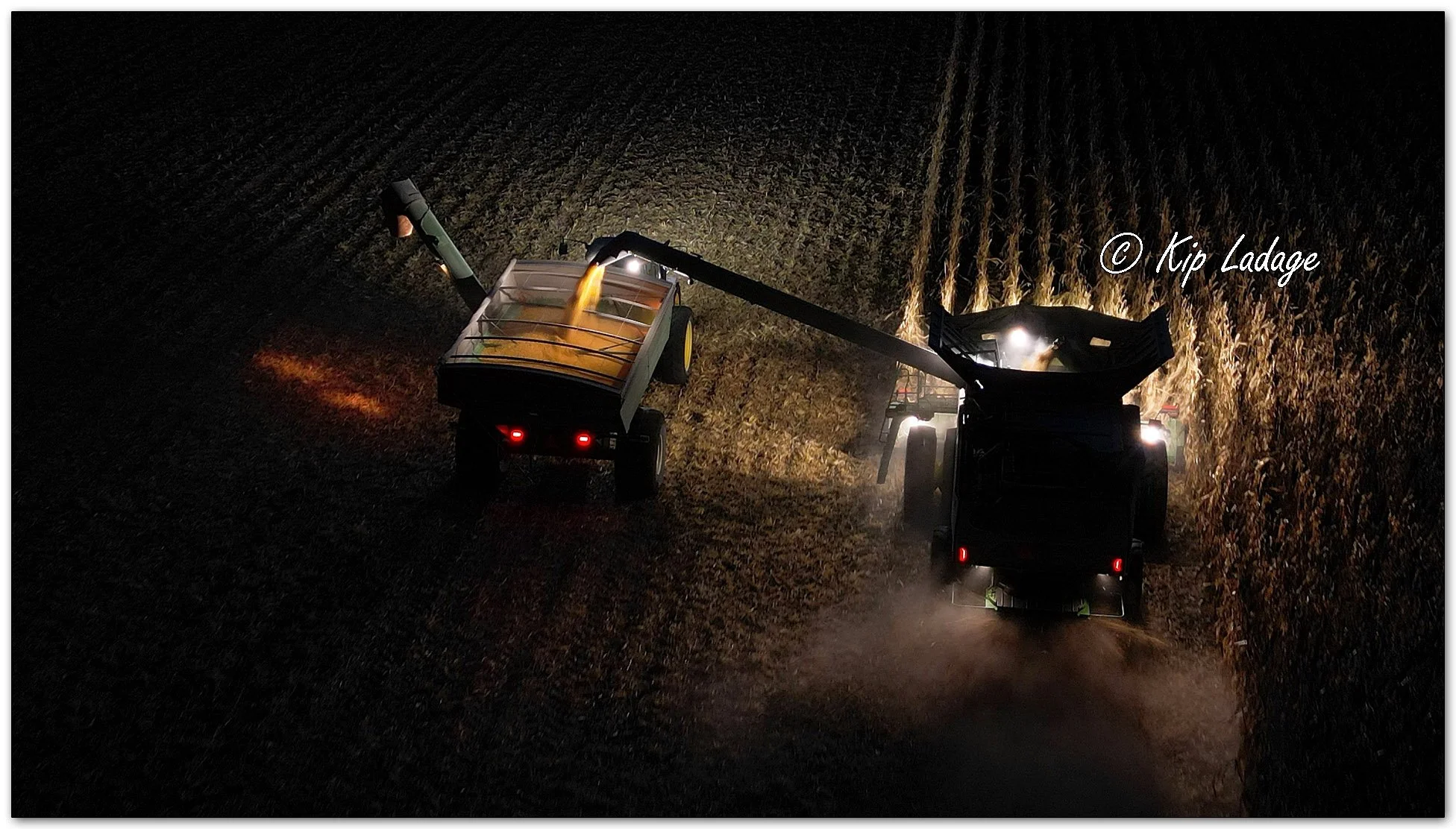 Corn Harvest 2026 - Image 1166240