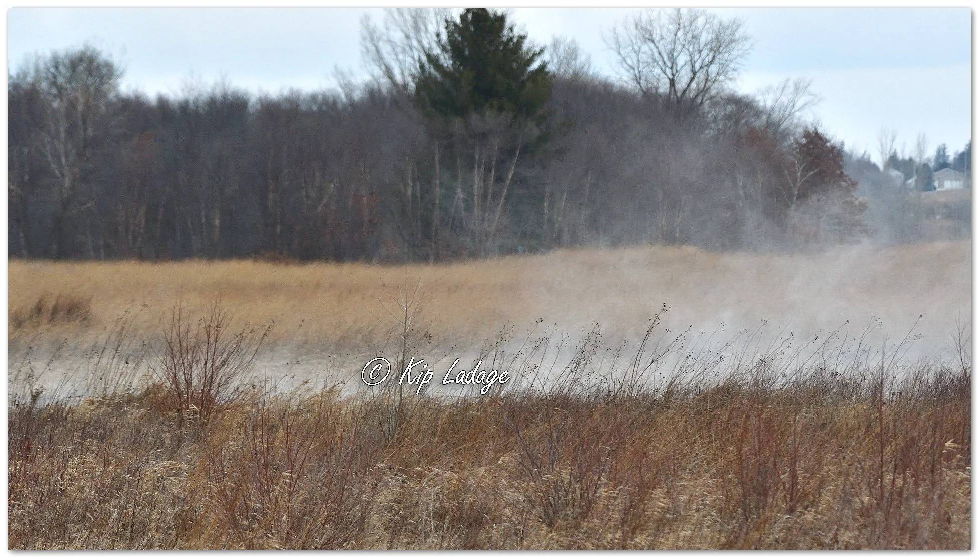 Wind/Snow Burst - Image 1056087