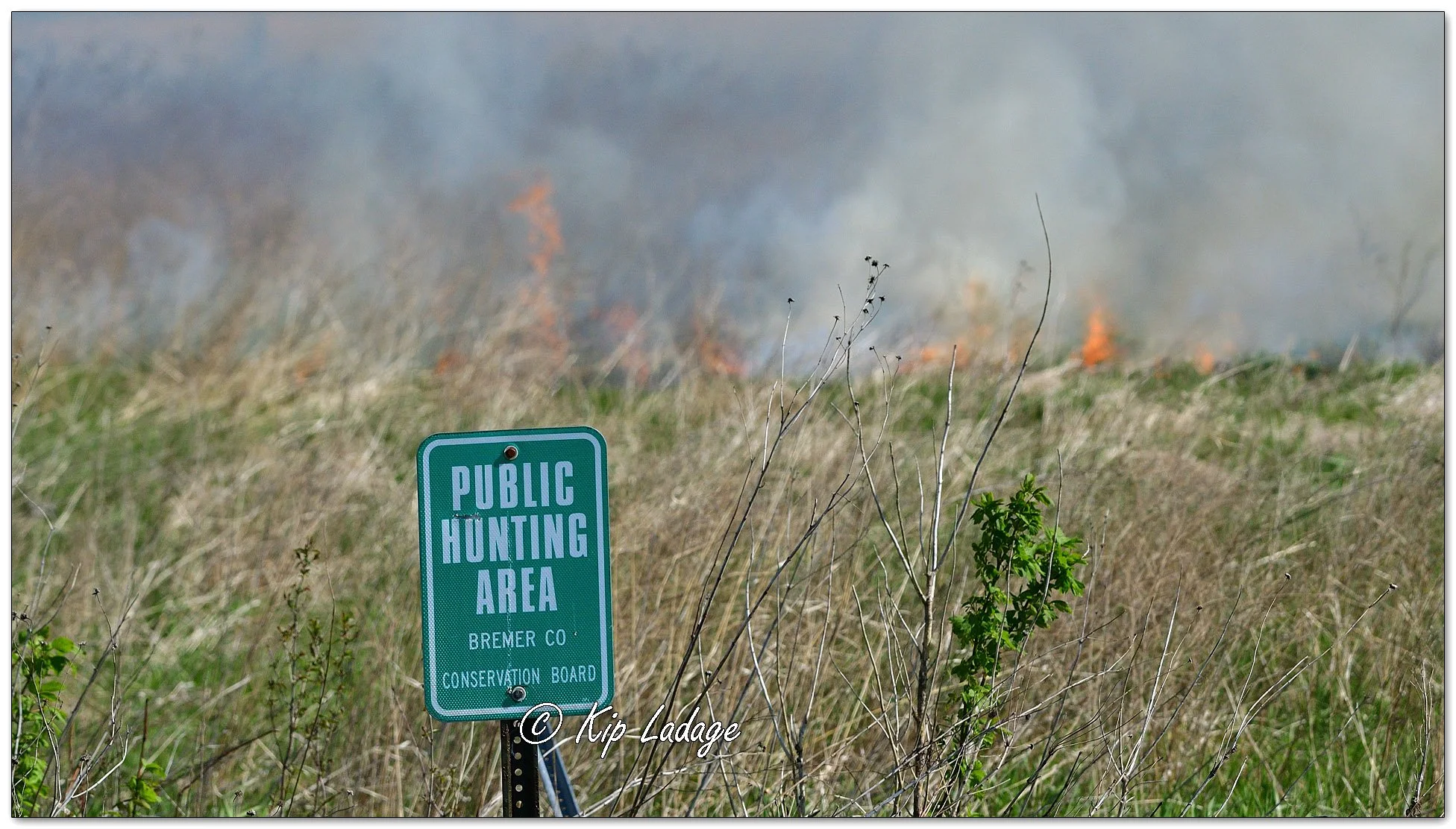 Controlled Grassland Burn - Image 1095210