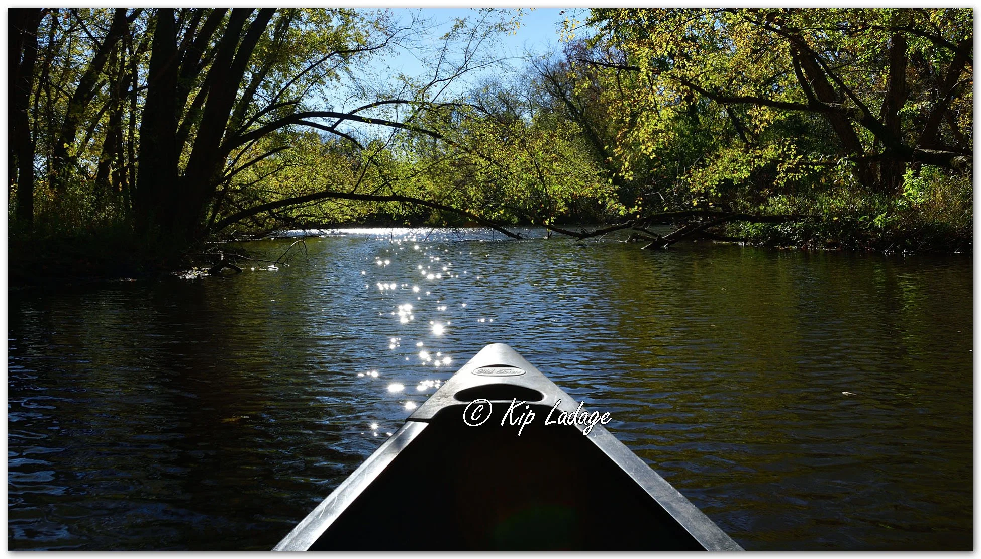 Canoeing the Wapsipinicon River - Image 1164356