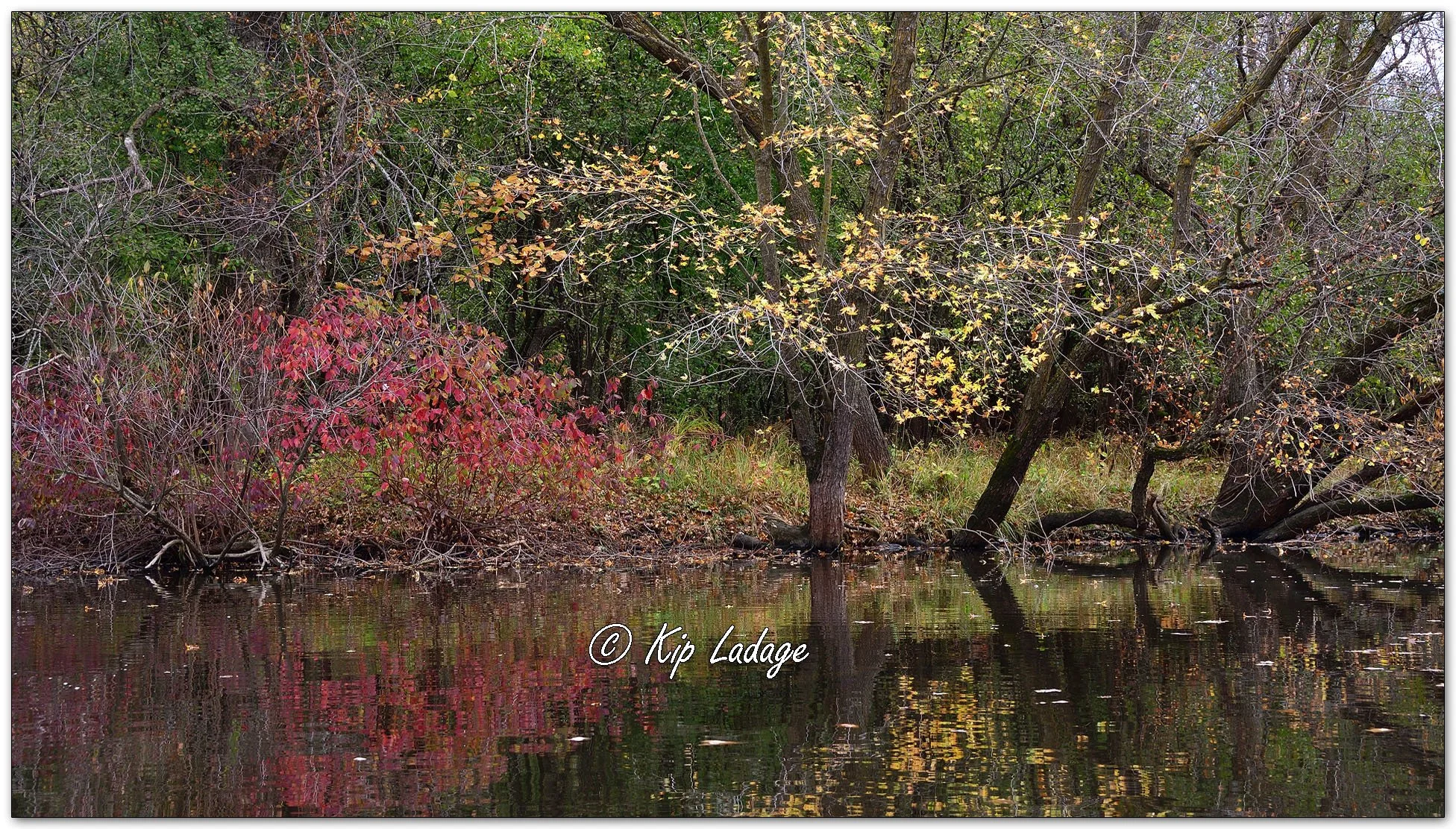 Autumn Wapsipinicon River Scene - Image 1167901