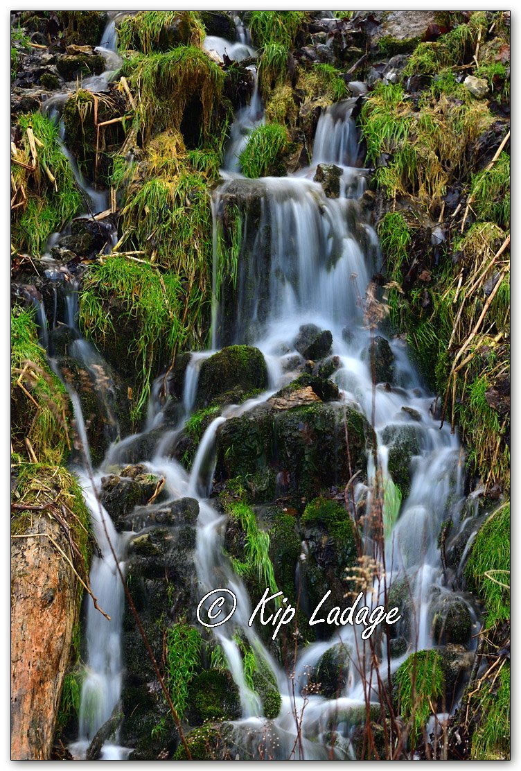 Waterfall at Trout Stream - Image 1055850