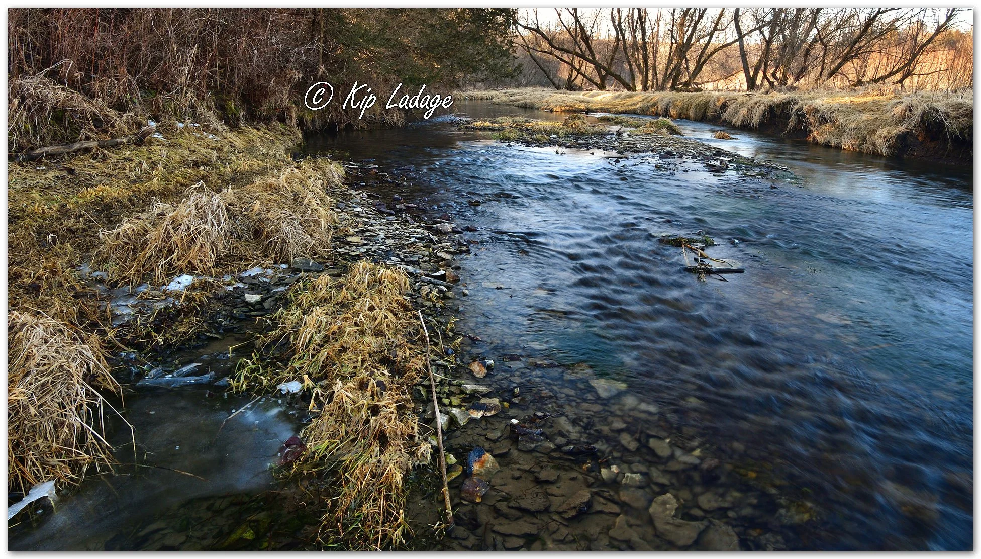 Coldwater Creek - Image 1064080