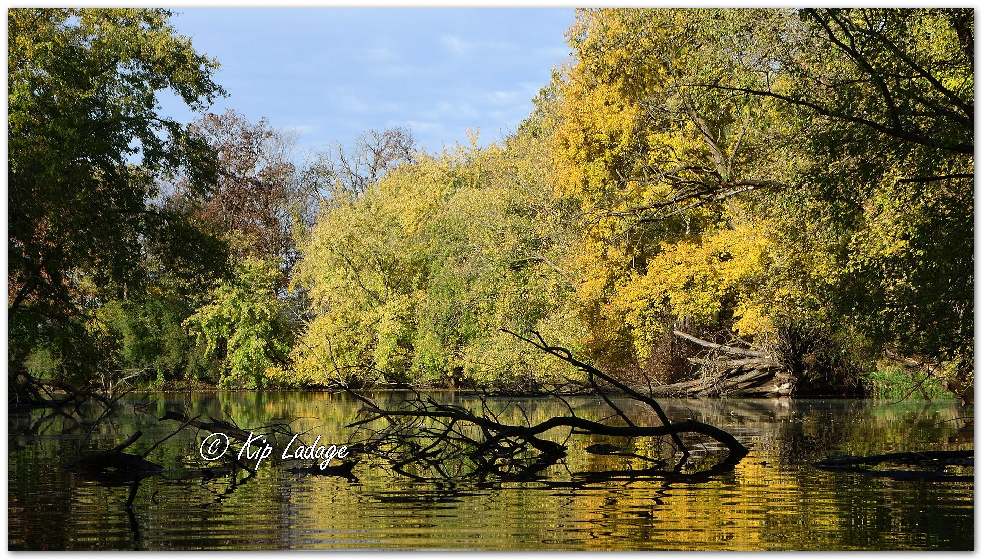 Autumn Timber Scene - Image 1165995