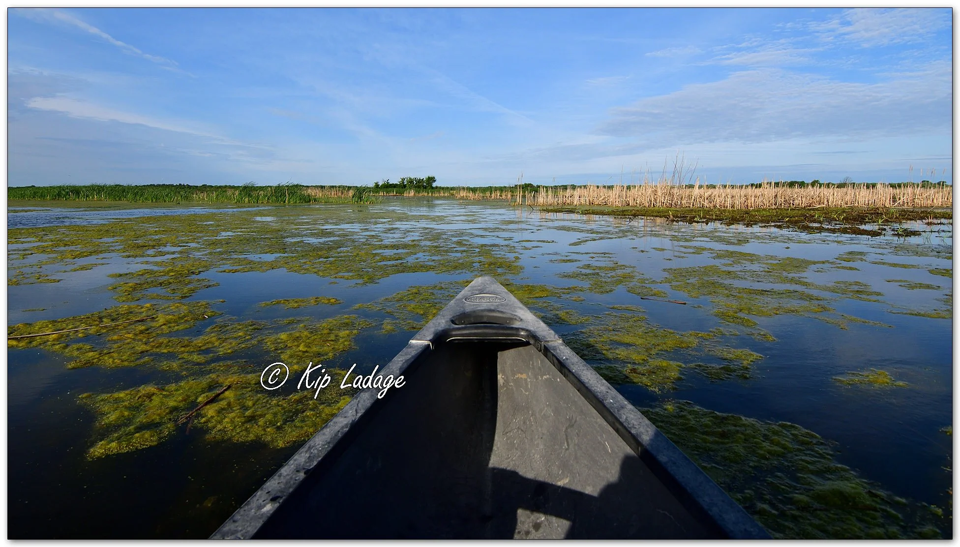 Canoeing at Sweet Marsh - Image 1098388