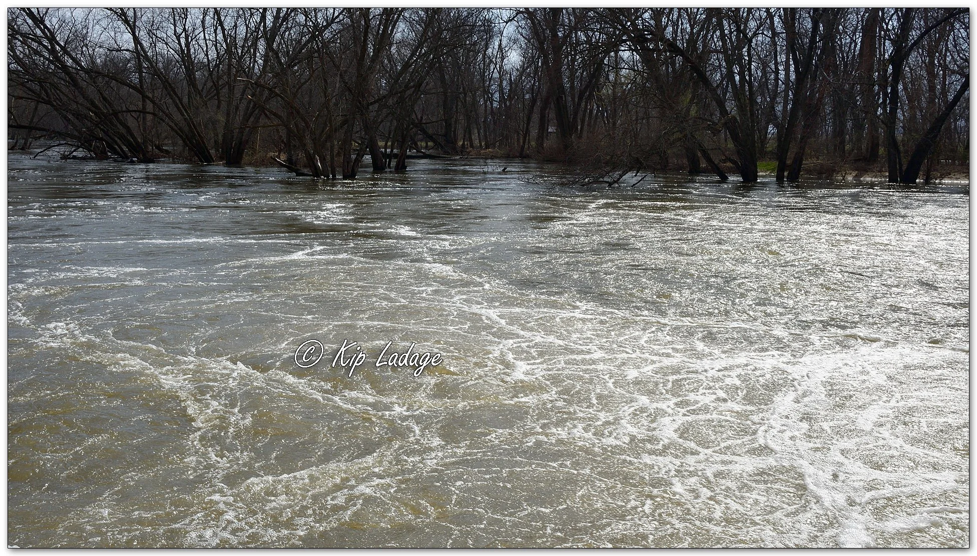 High Water at Alcock Park - Image 1084384