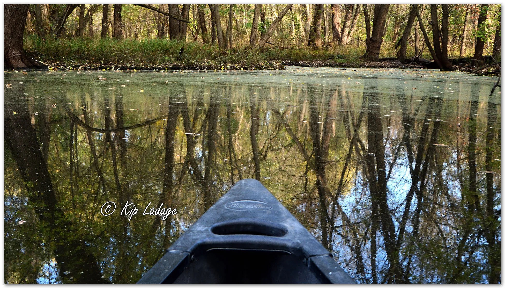 Canoeing and Tree Reflections - Image 1166027