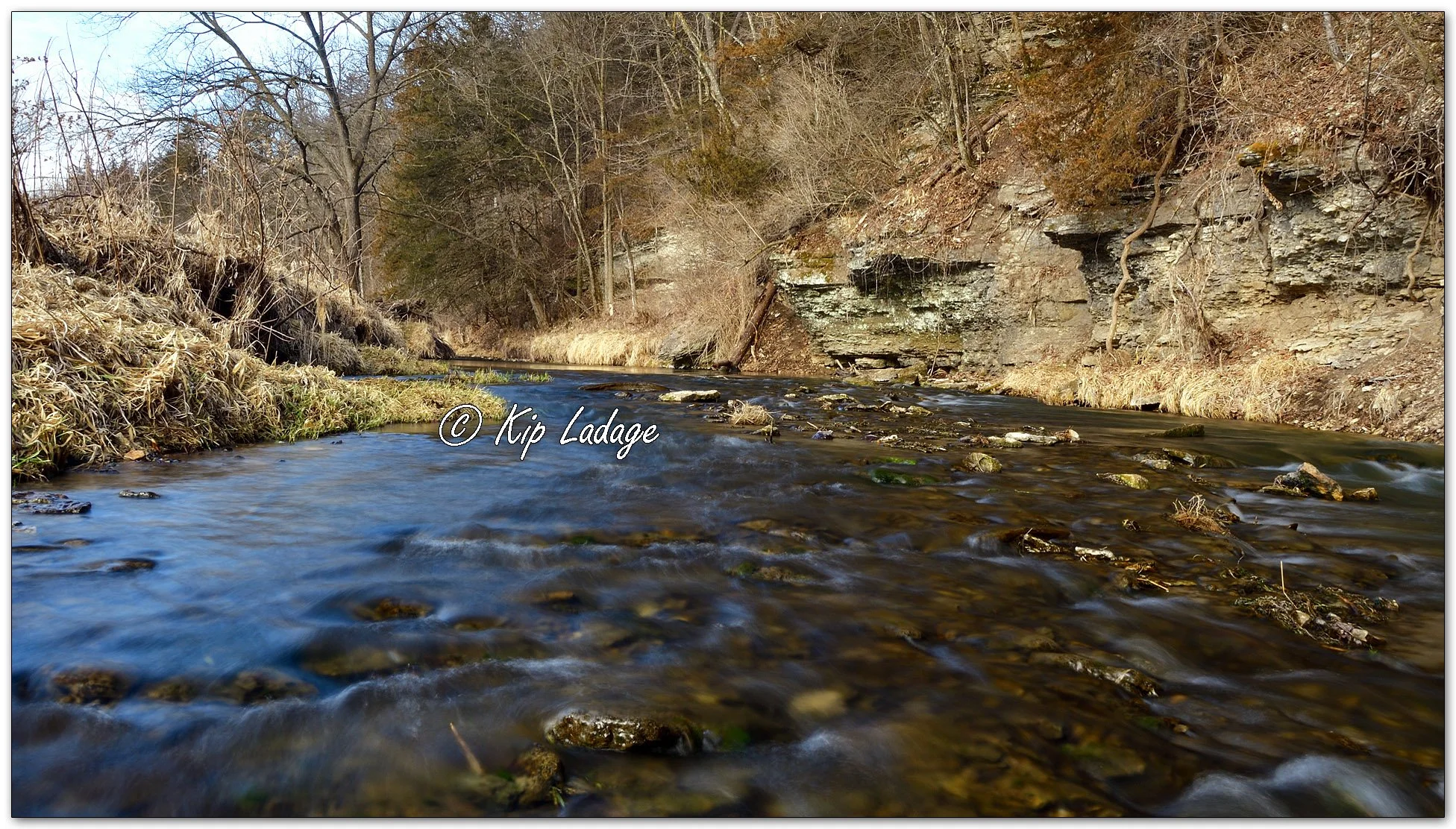 Coldwater Creek - Image 1064033