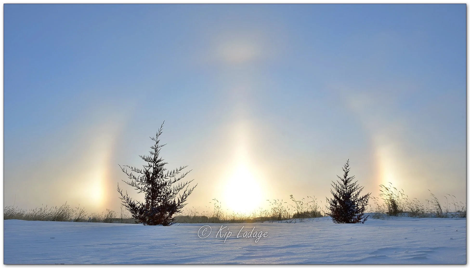 Kip’s Comments - January 14, 2024 — LadagePhotography.com