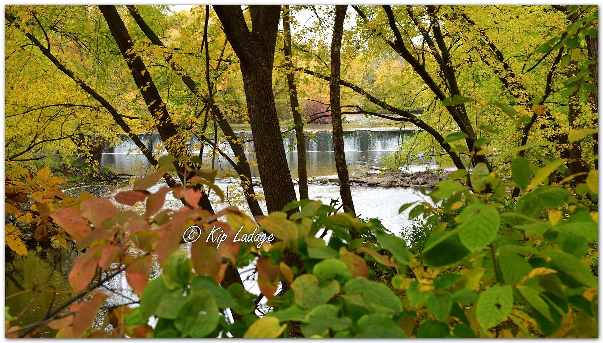 Kip s Comments October 19 2023 LadagePhotography kip-s-comments-october-19-2023-ladagephotography