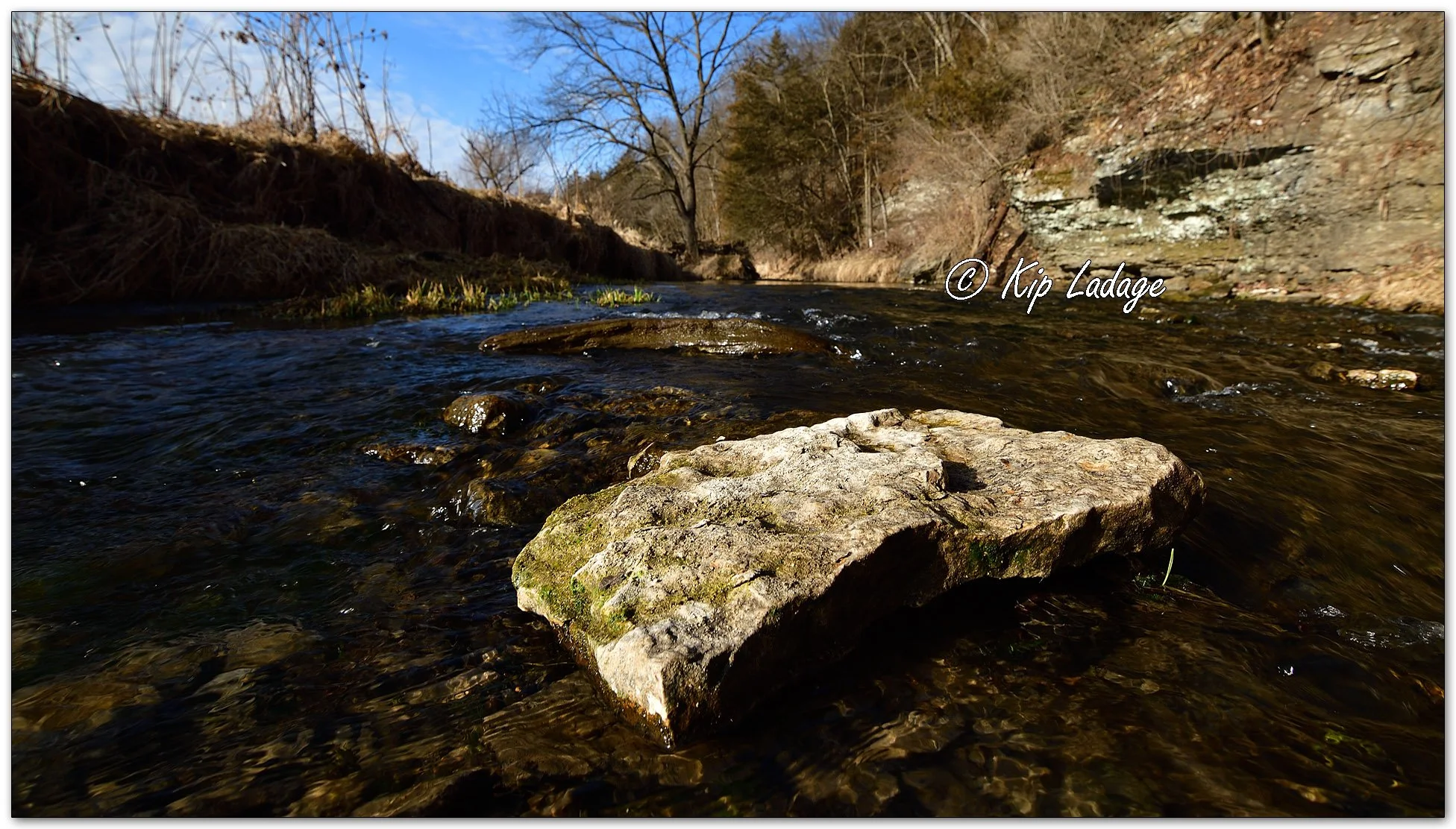 Coldwater Creek - Image 1064051