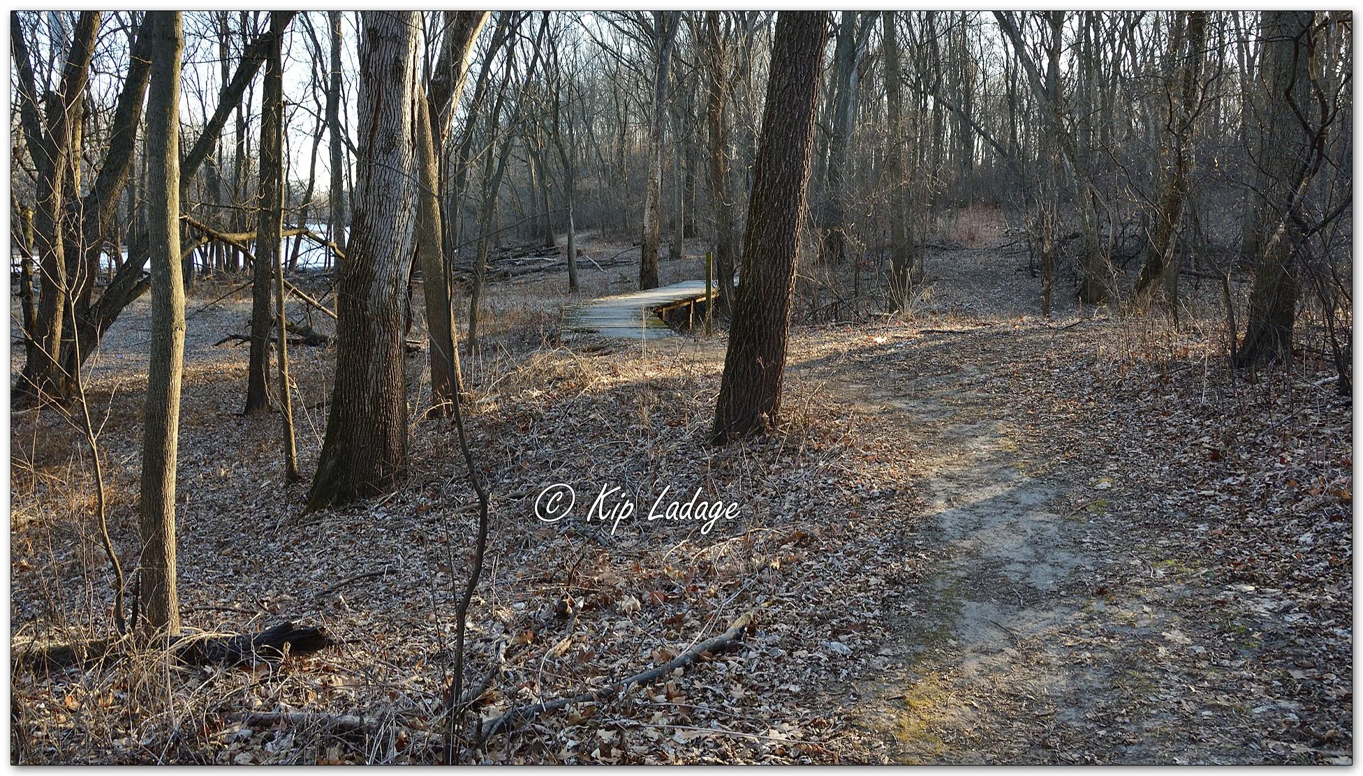 Winter Trail in Cedar Bend Park - Image 938973