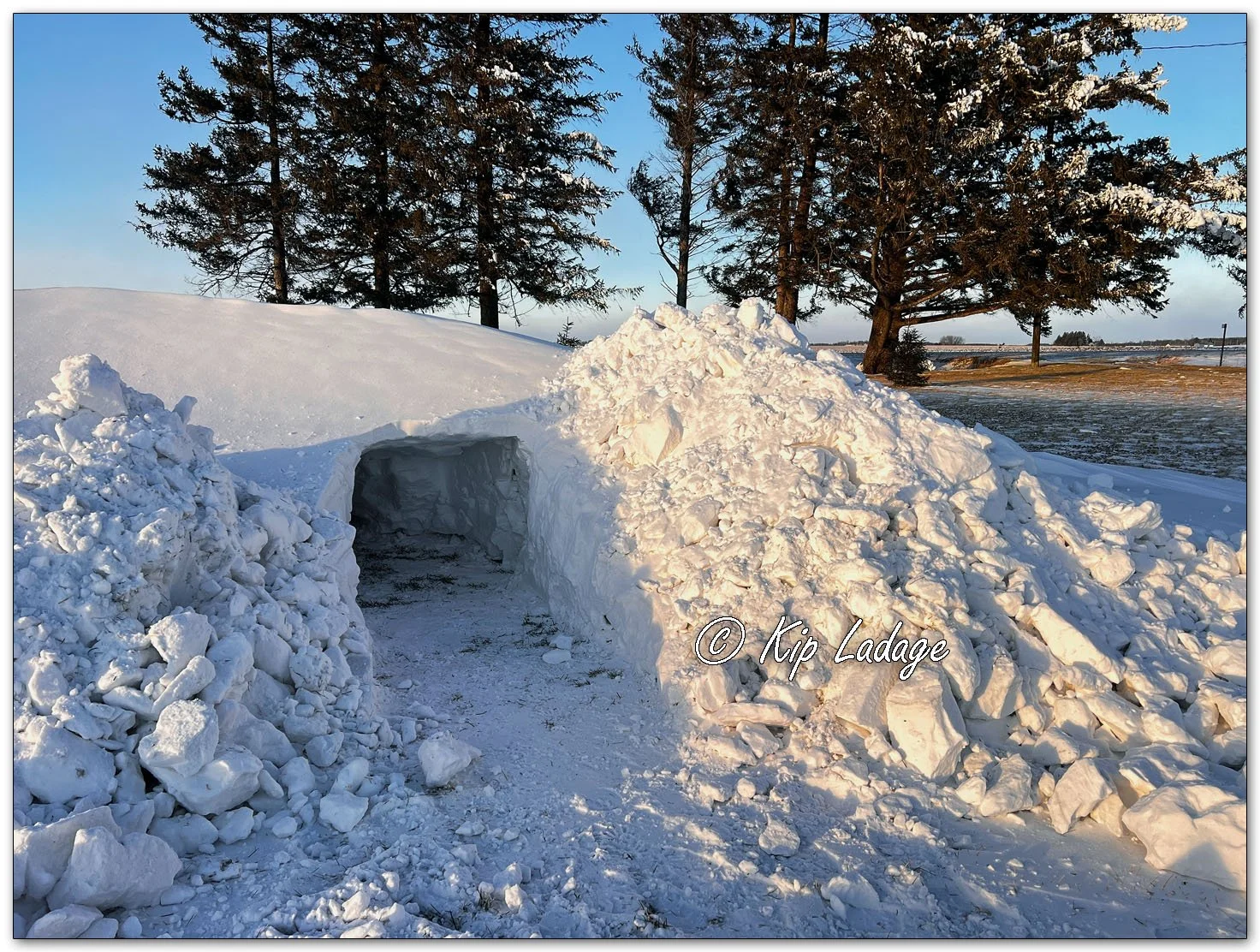 Snow Fort 2025 - Image 1053370