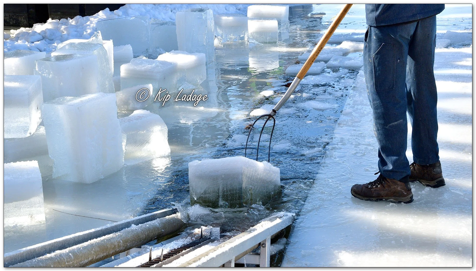 Ice Harvest Festival - Image 1062754