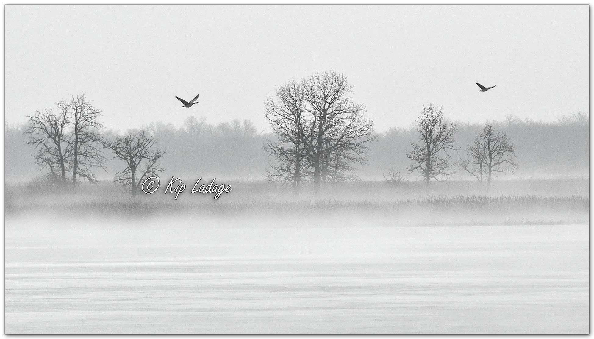Fog at Sweet Marsh - Image 1068763mono