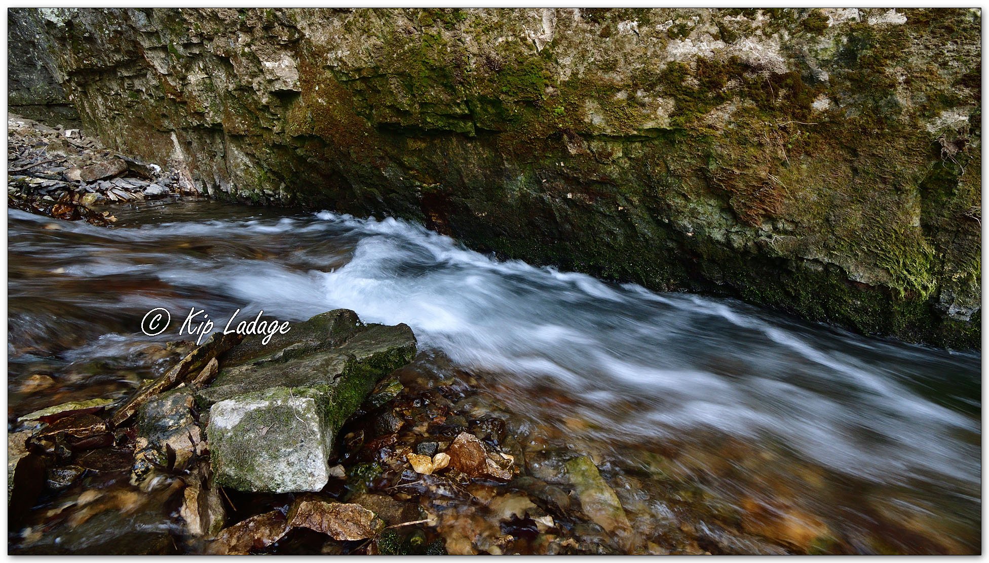 Coldwater Creek Wildlife Management Area - Image 1063340