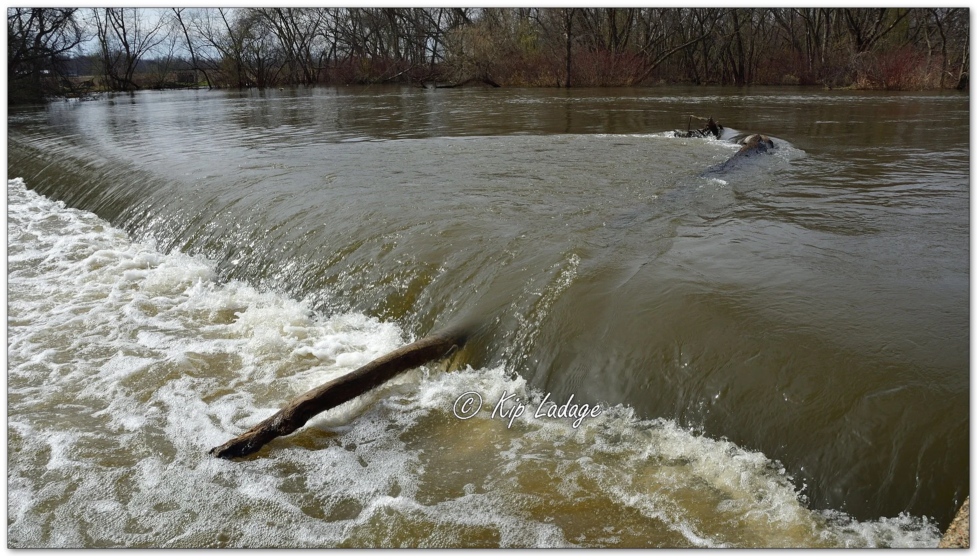 High Water at Alcock Park - Image 1084359