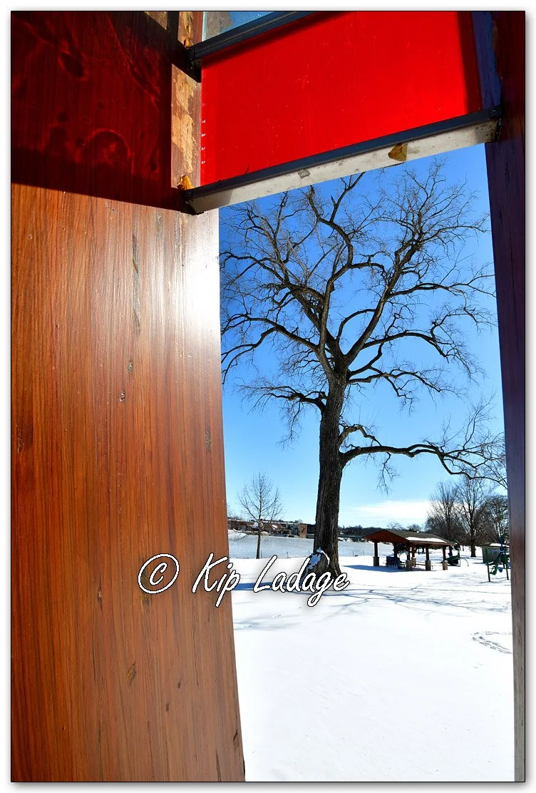 Waverly's Cottonwood Tree - Image 1065086