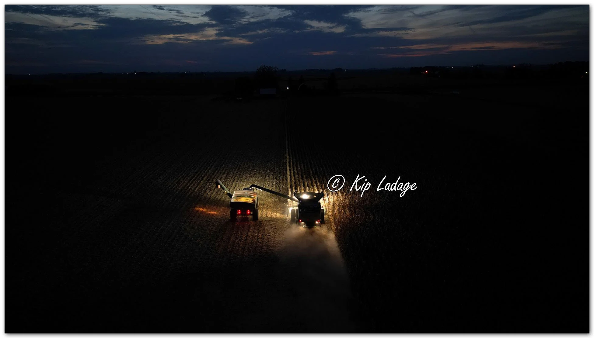 Corn Harvest 2026 - Image 1166252