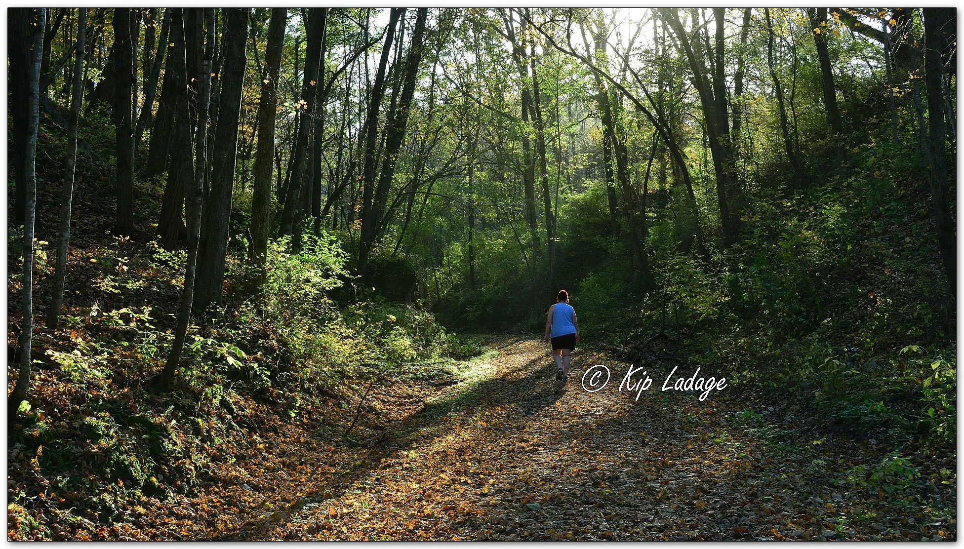 Hiking at Echo Valley State Park - Image 1161842