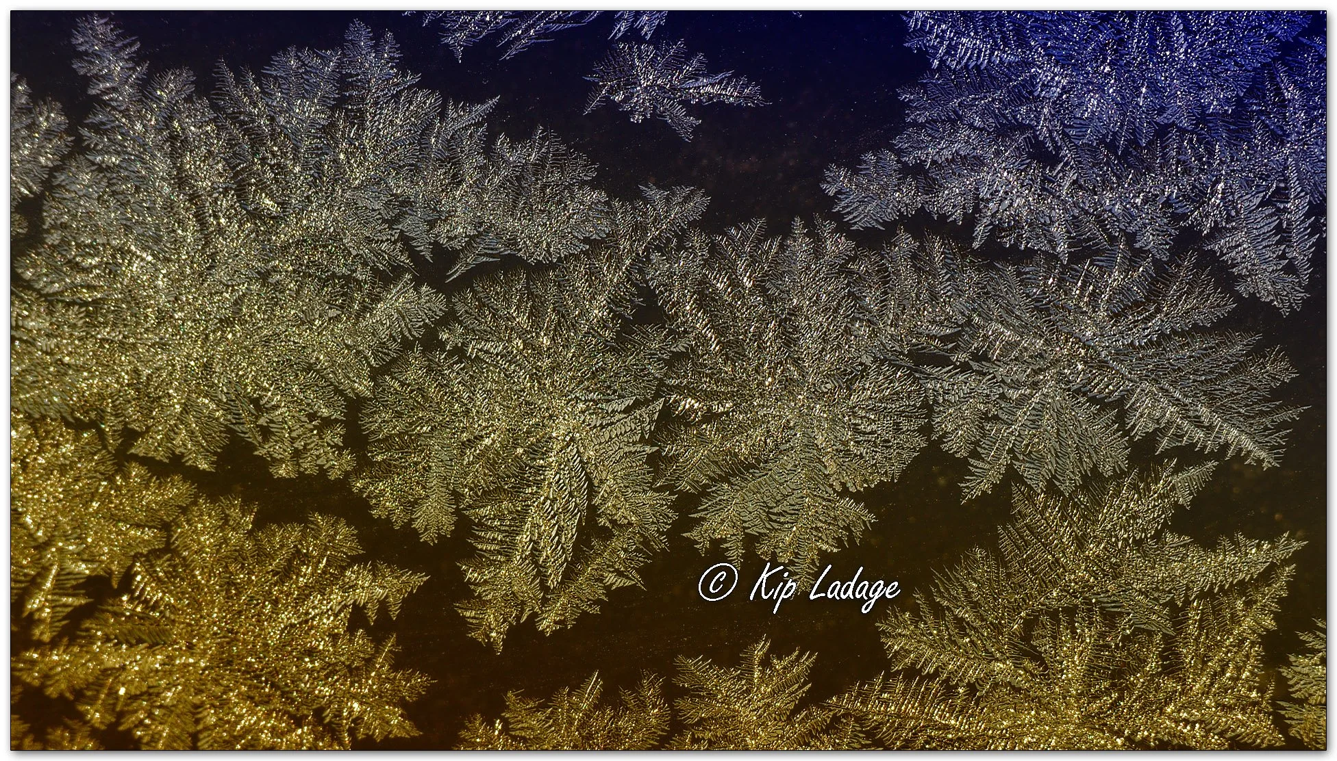 Frost on Glass - Image 1059684