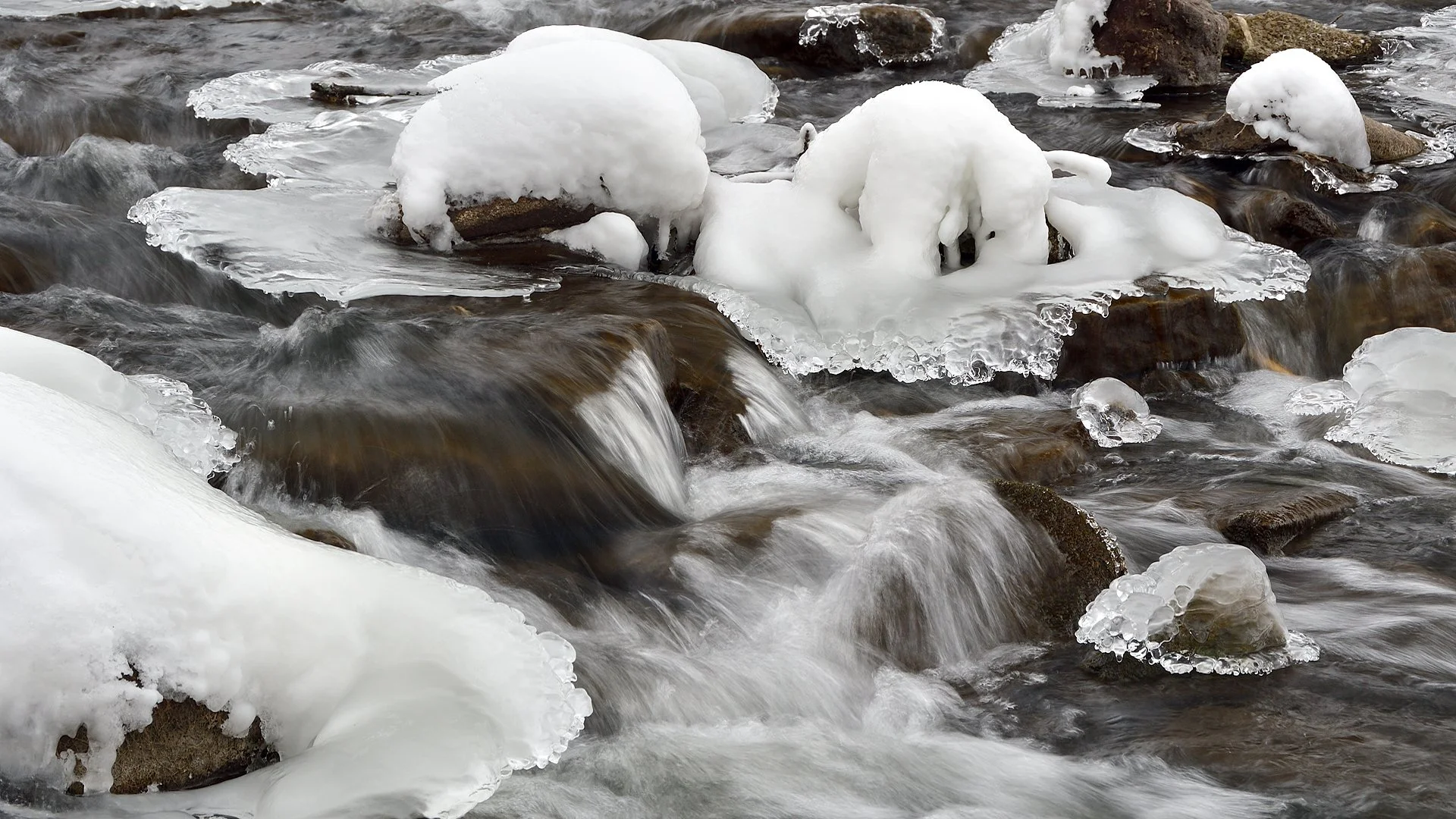 Quarter Section Run in Brandt Park - Image 1065315