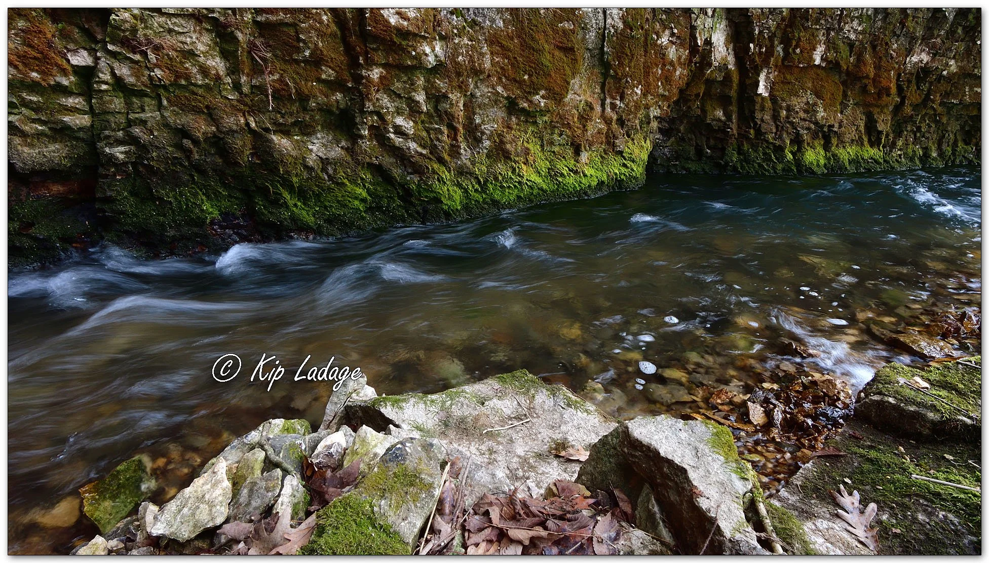 Coldwater Creek Wildlife Management Area - Image 1063344