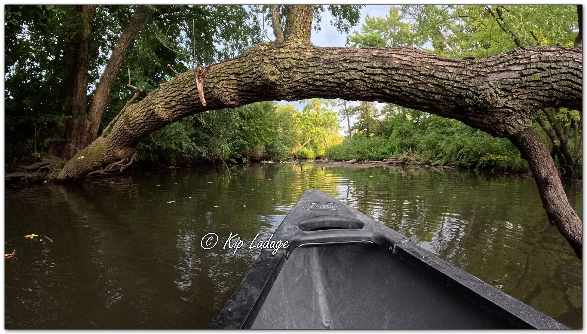 Canoeing the Wapsipinicon River - Image 1142310