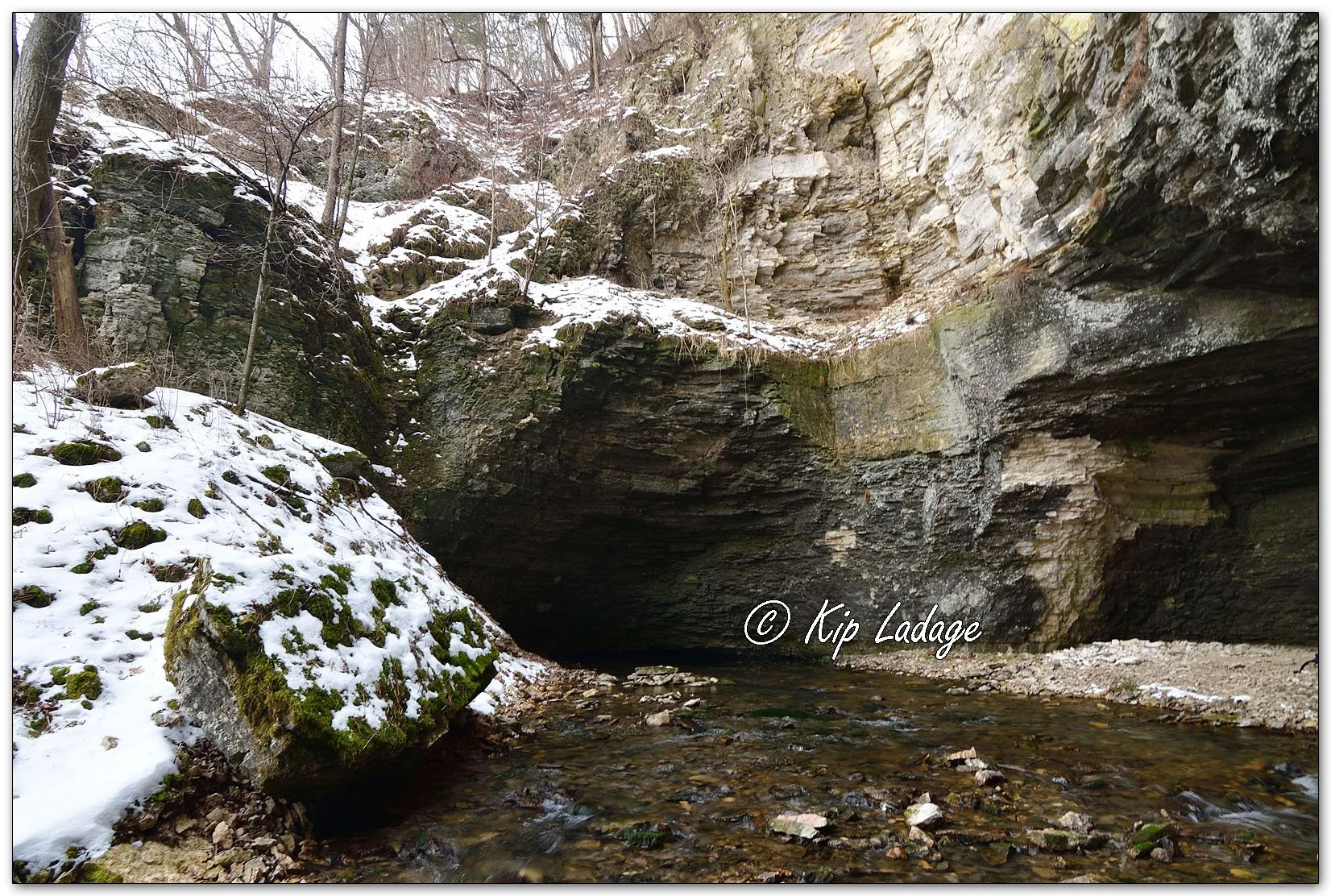 Coldwater Creek Wildlife Management Area - Image 1063361