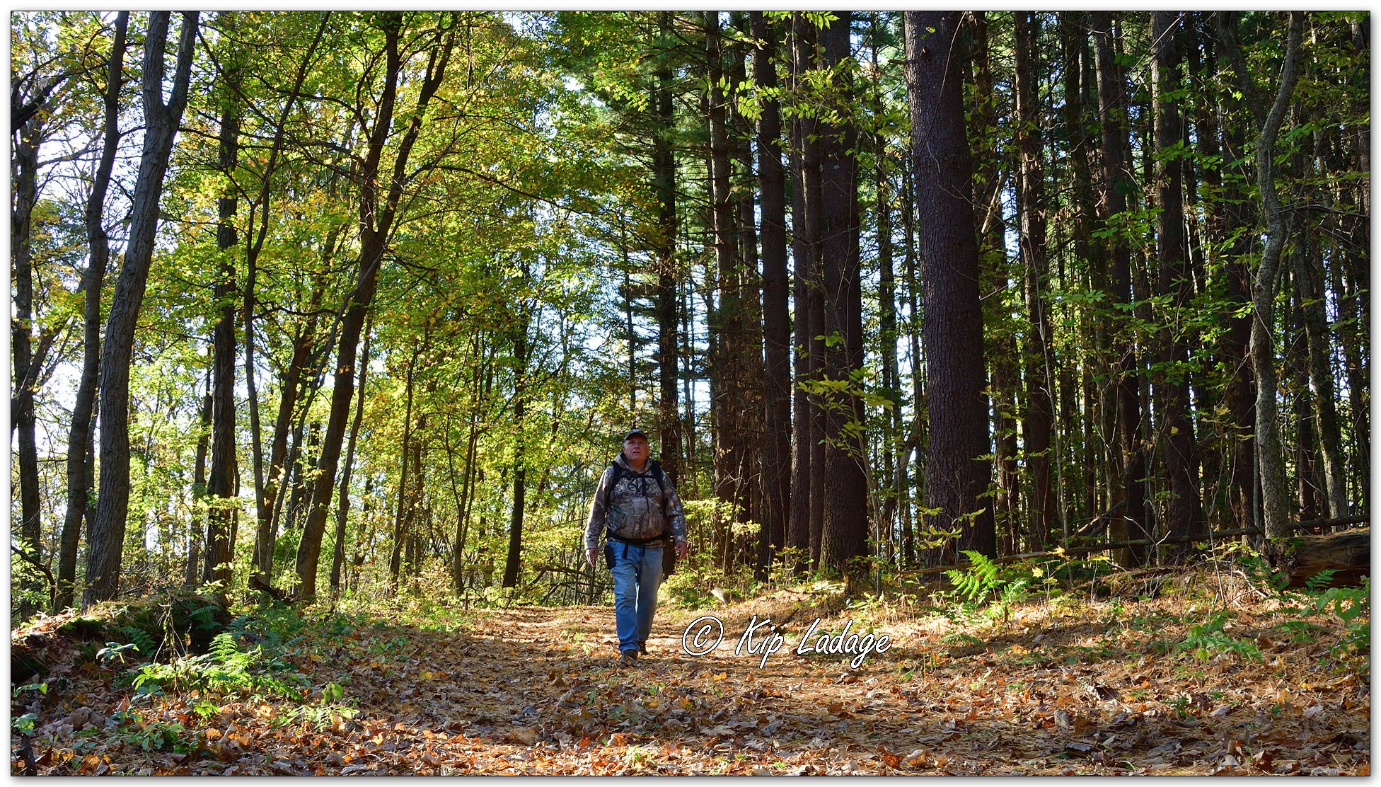 Hiking the Paint Rock Trail - Image 1164775