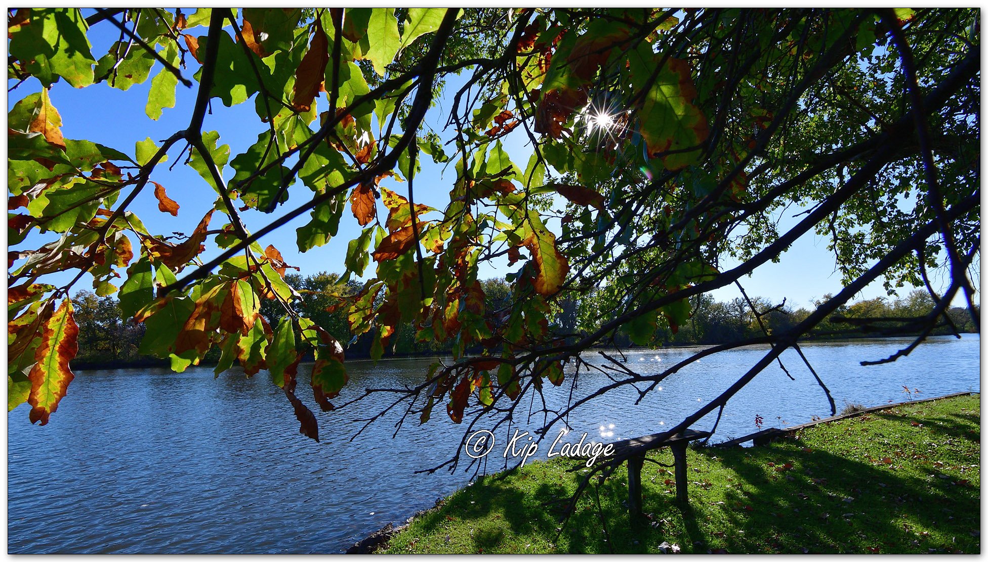 Autumn on Indian Pond - Image 1164524