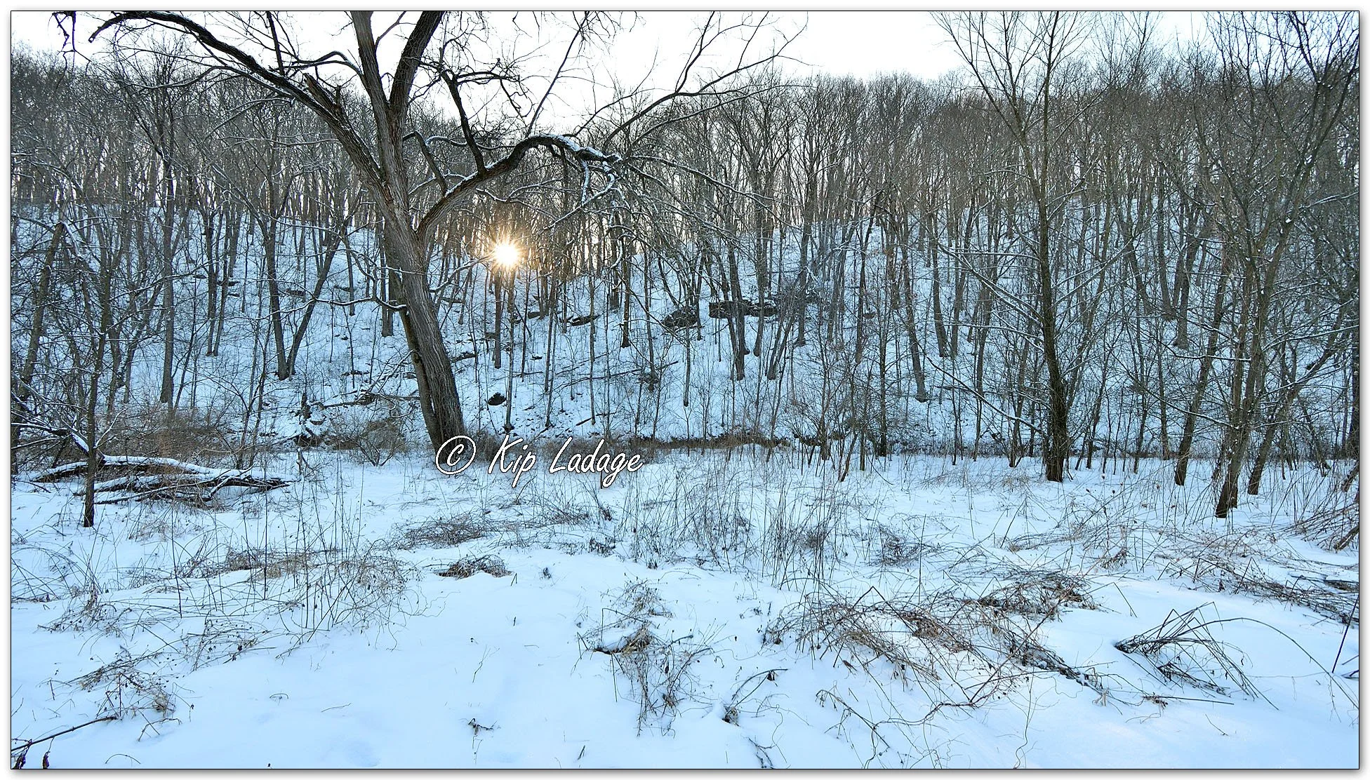 Grannis Creek Wildlife Management Area - Image 1061793