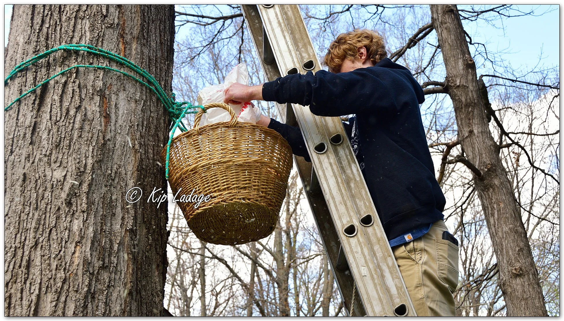 Hanging Artificial Owl Nest - Image 1090730