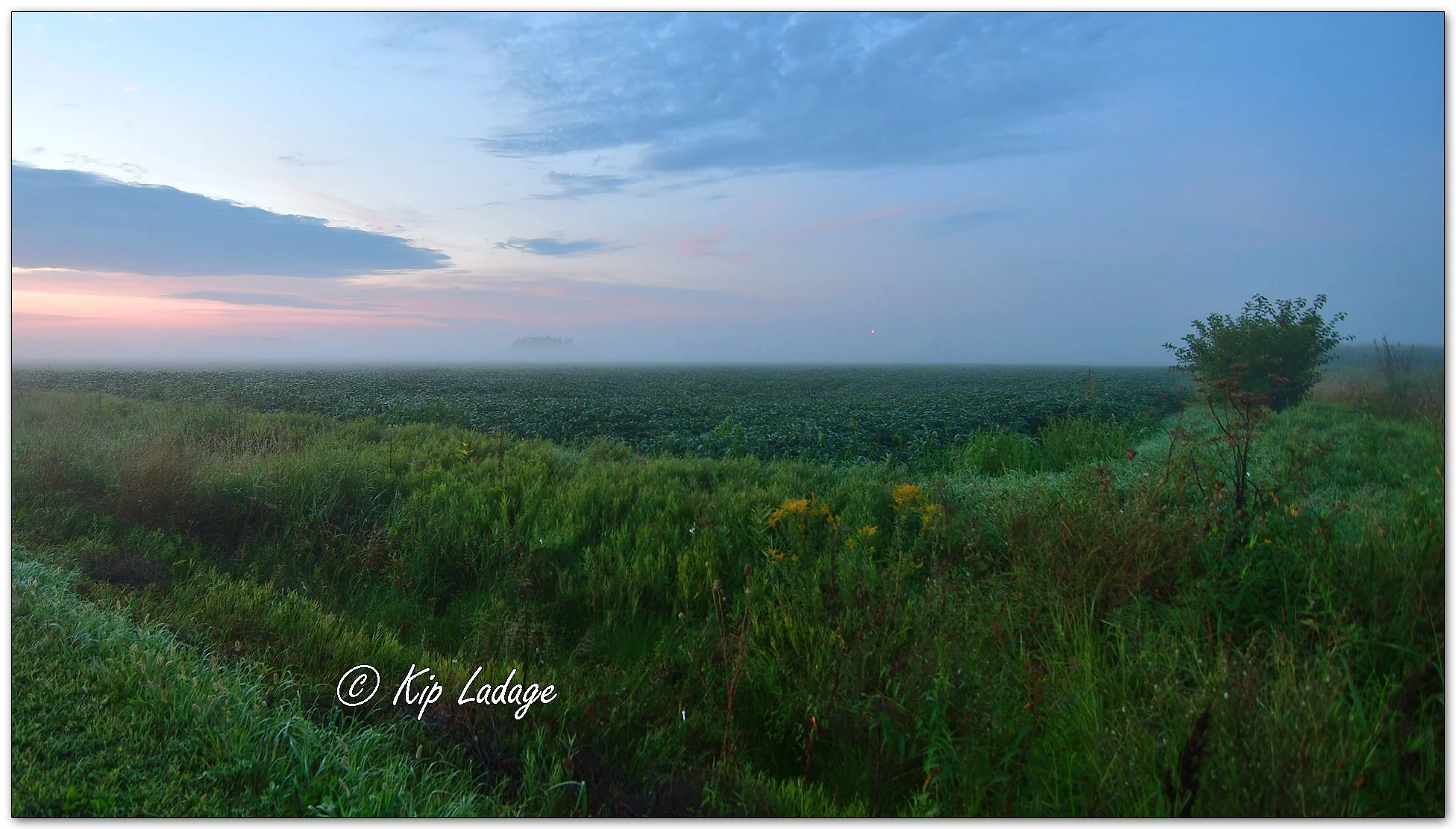 Fog at Sunrise - Image 1139179
