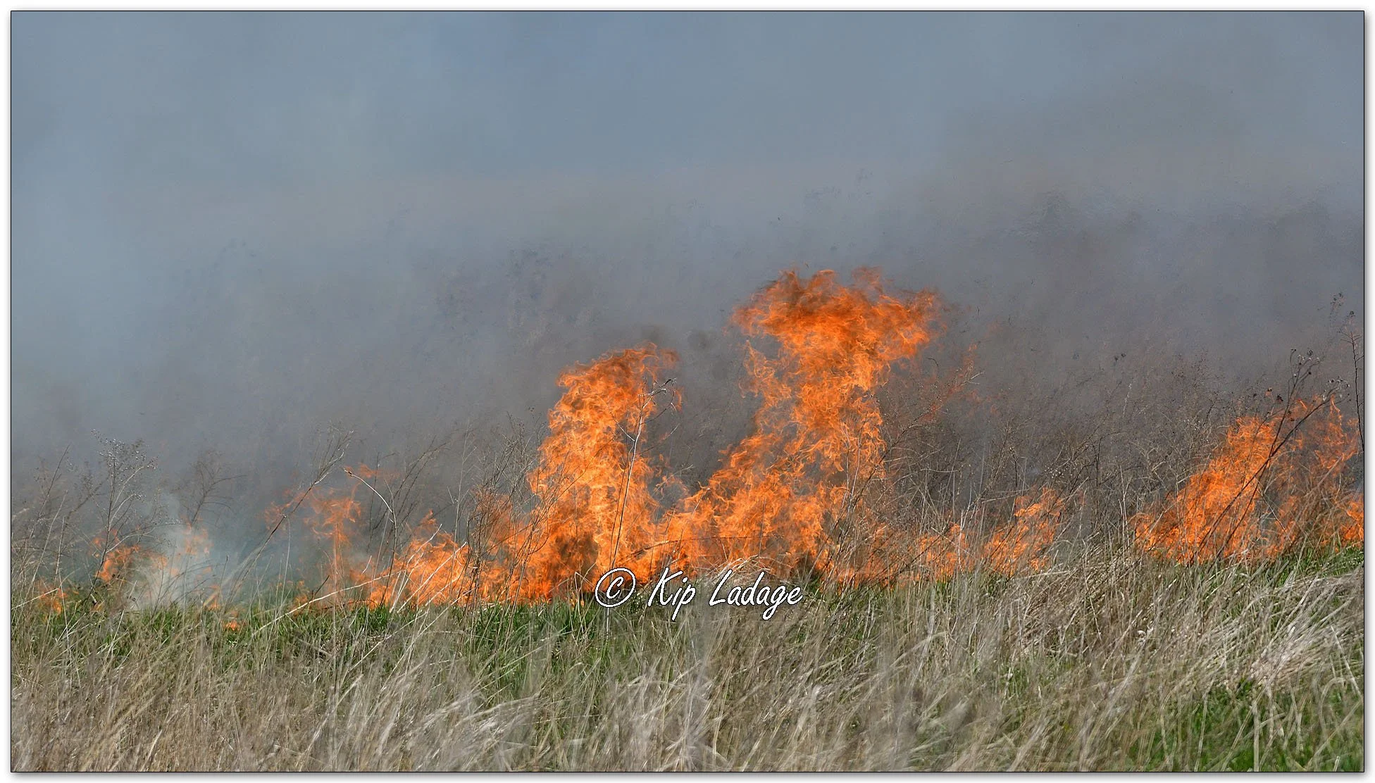Controlled Grassland Burn - Image 1095169