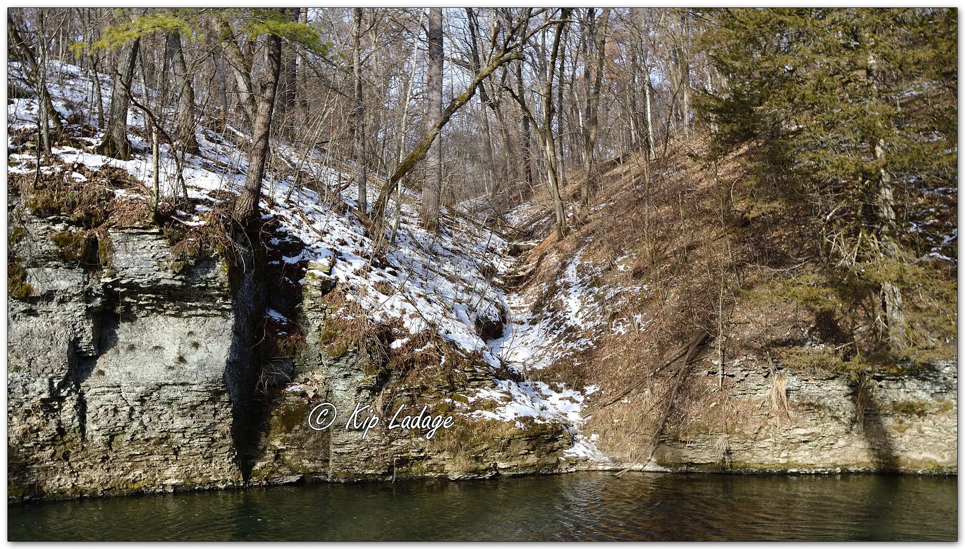 Coldwater Creek Wildlife Management Area - Image 1063285