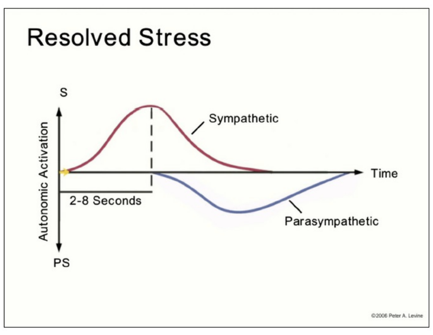 Somatic Parts Work Therapy Brooklyn | IFS Therapist NYC — Enodia ...