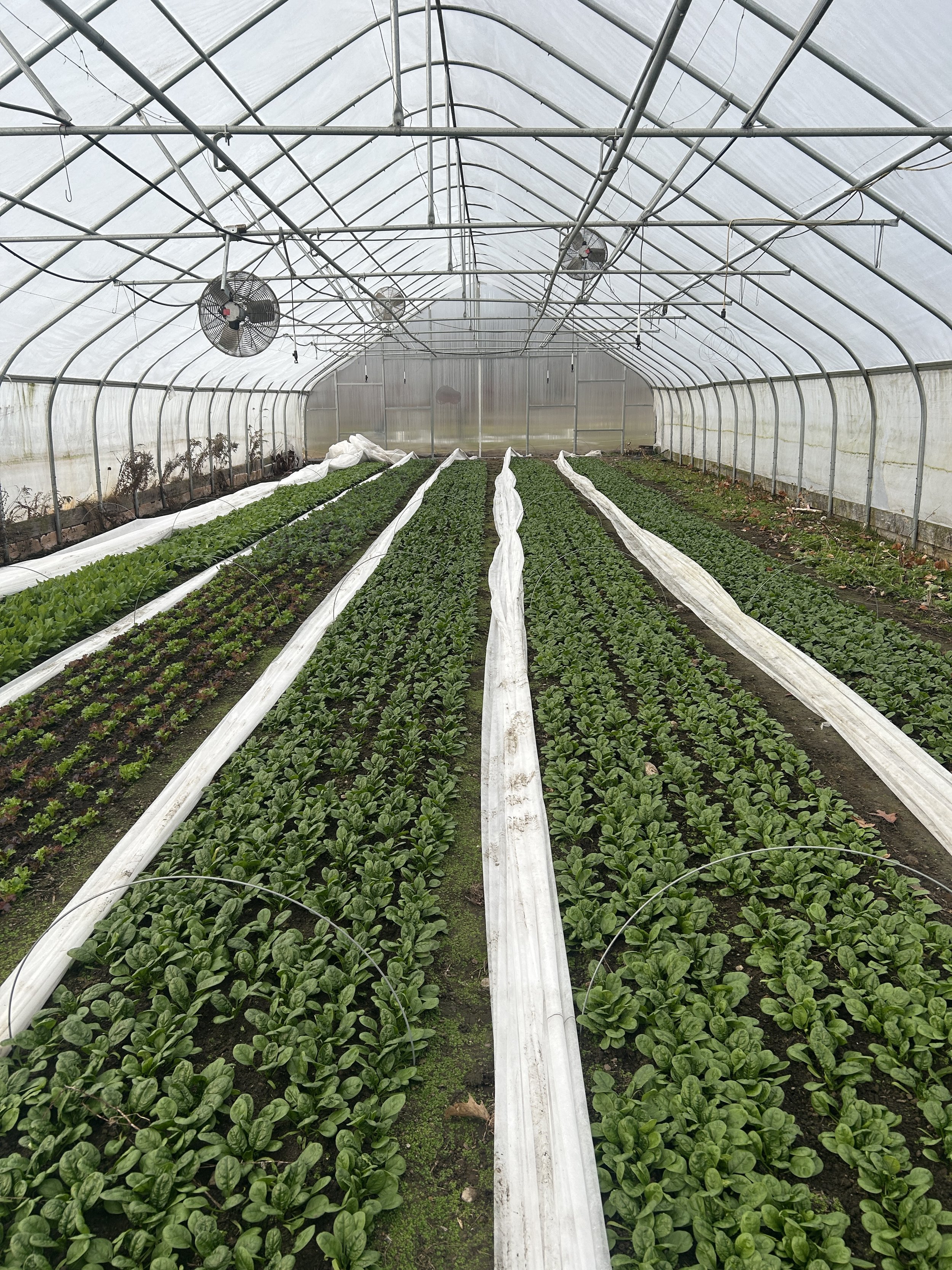 Thanksgiving Market Tomorrow 11/25!