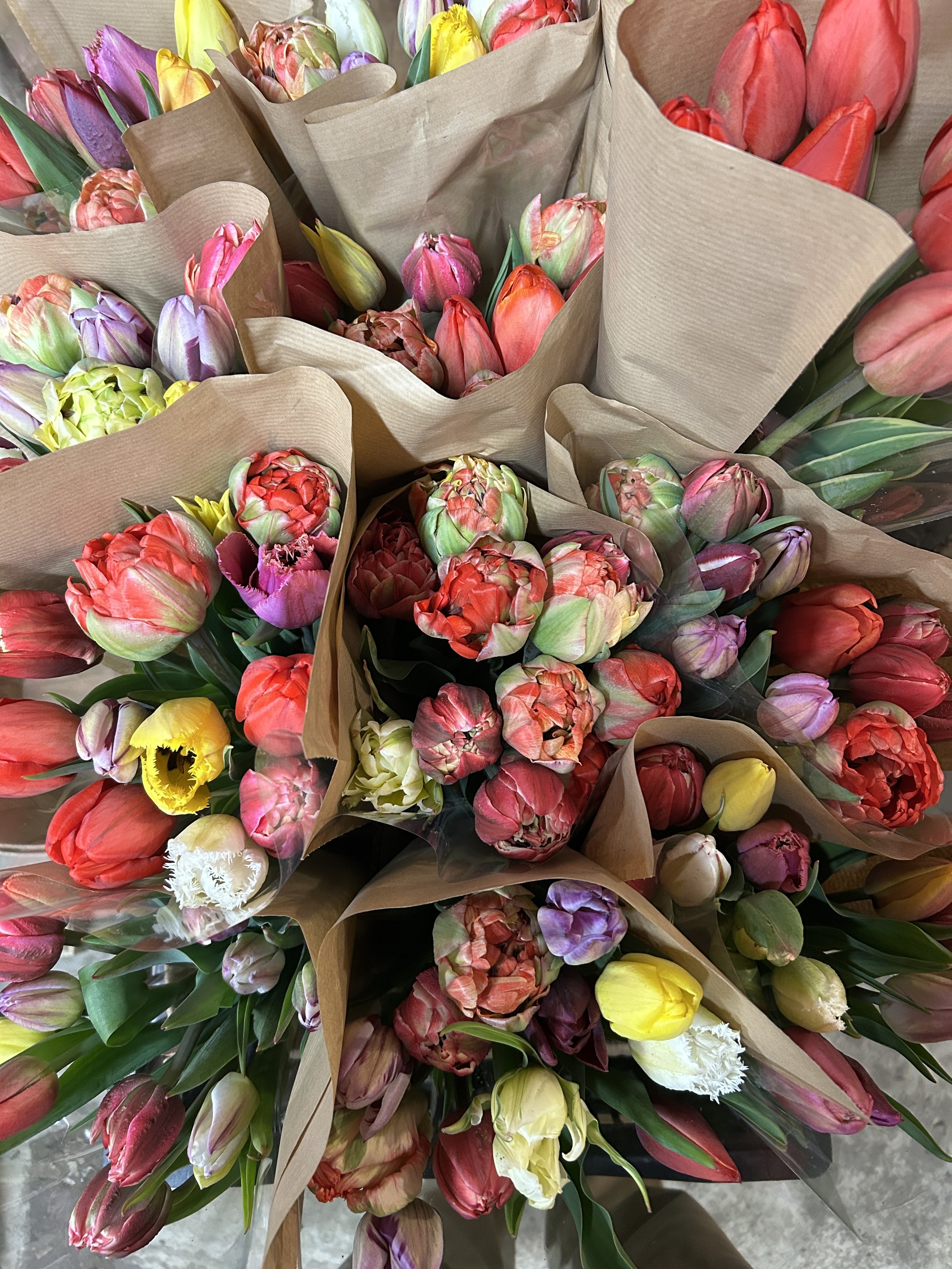 Asparagus, Tulips, and a Mother’s Day Hanging Basket Special!