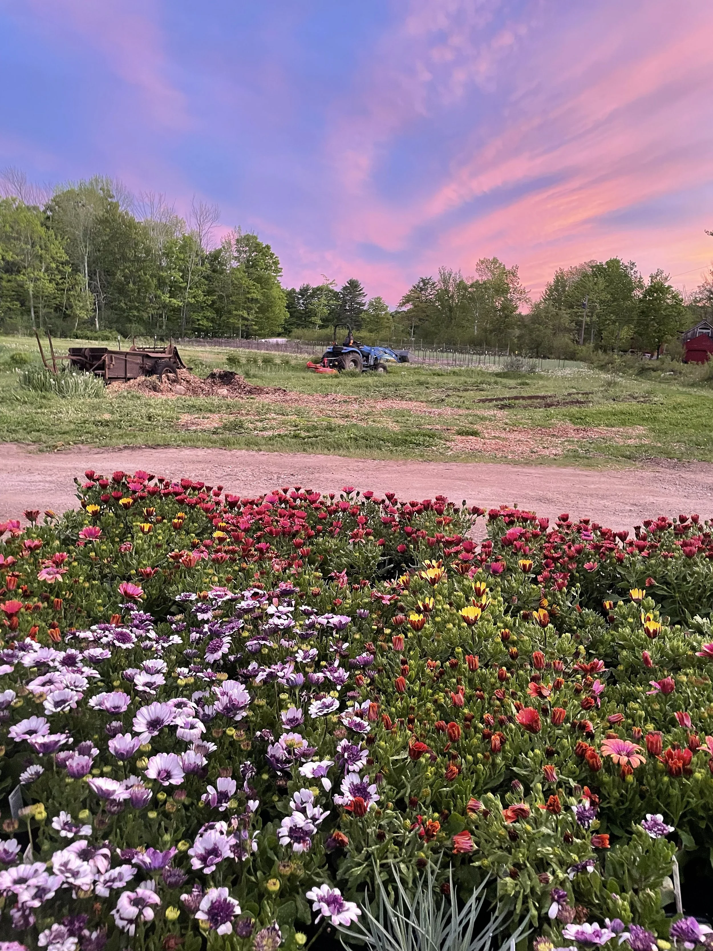 Planting Season is Upon Us, Markets, Farm Stand