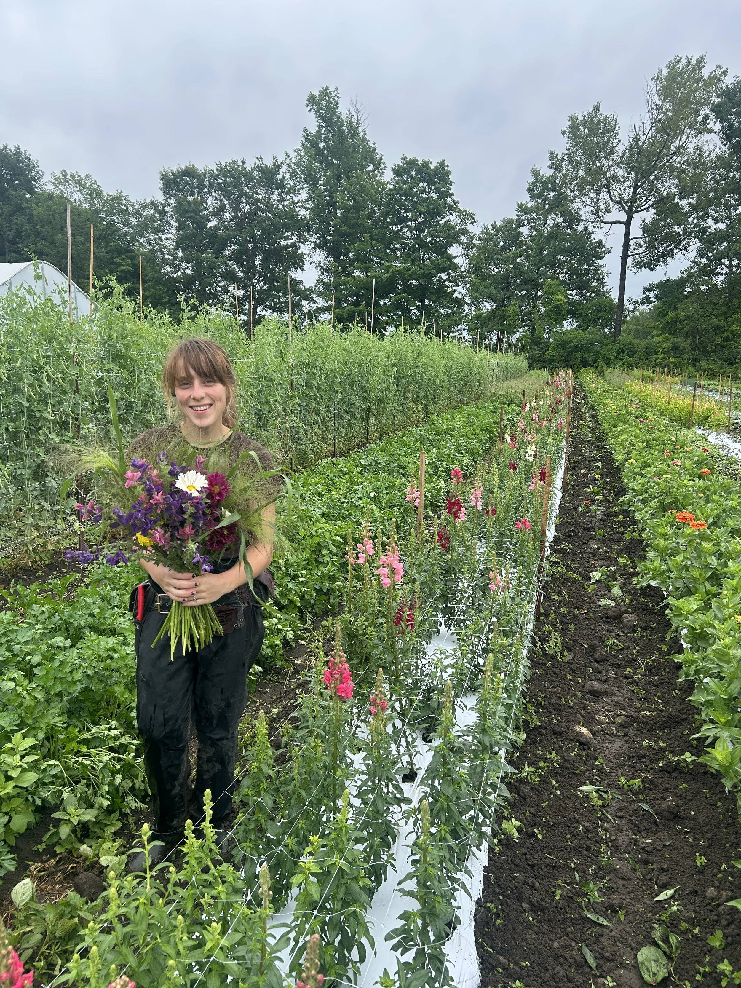 Markets 7/9 &amp; 7/11, Cukes &amp; Broccoli Galore, Sweet Corn from MA