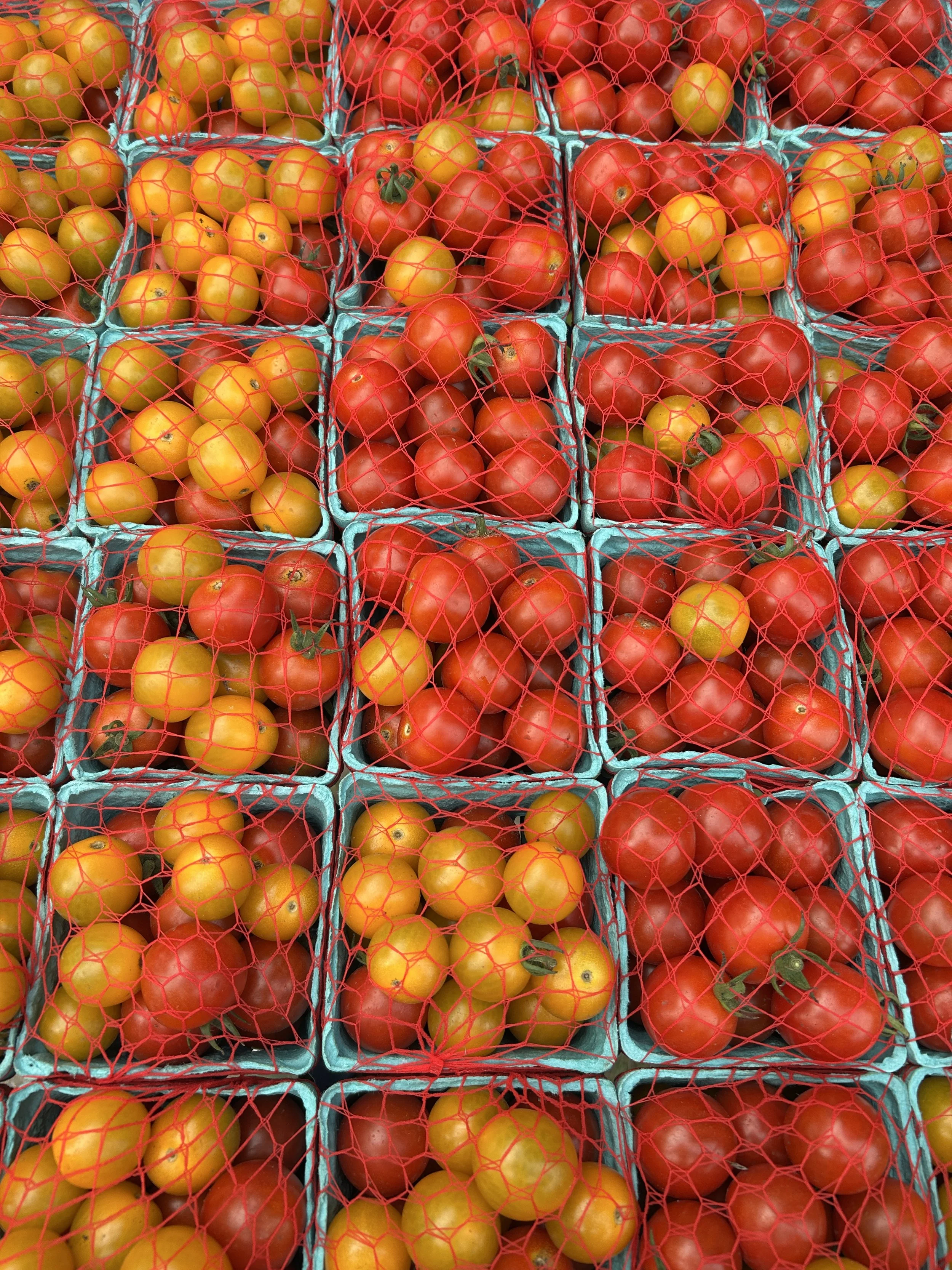 Fields Drying Out, Summer Produce Continues!